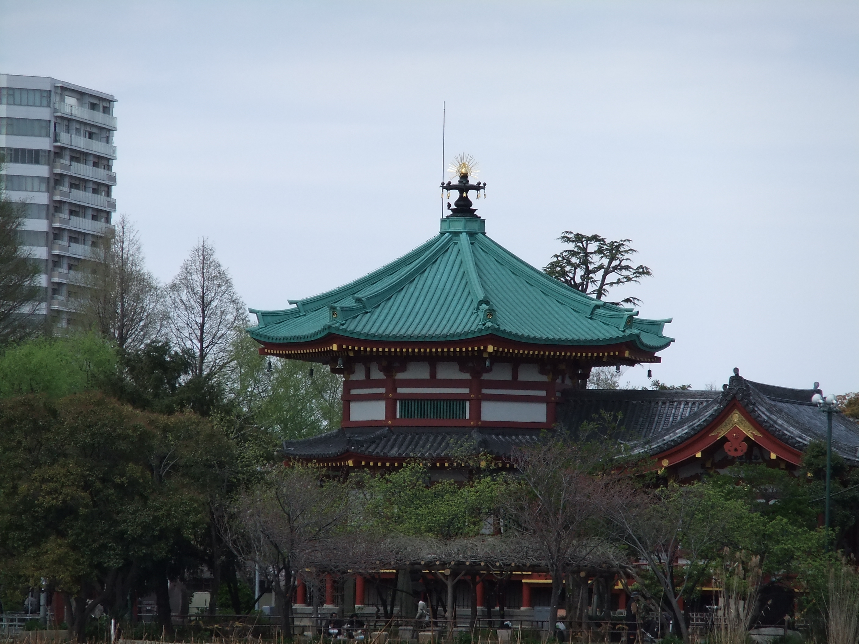 <b>望遠端<br>FinePix F80EXR / 2,816×2,112 / 1/480秒 / F5.6 / 0EV / ISO100 / EXR：高感度低ノイズ優先 / WB:オート / 50mm</b>