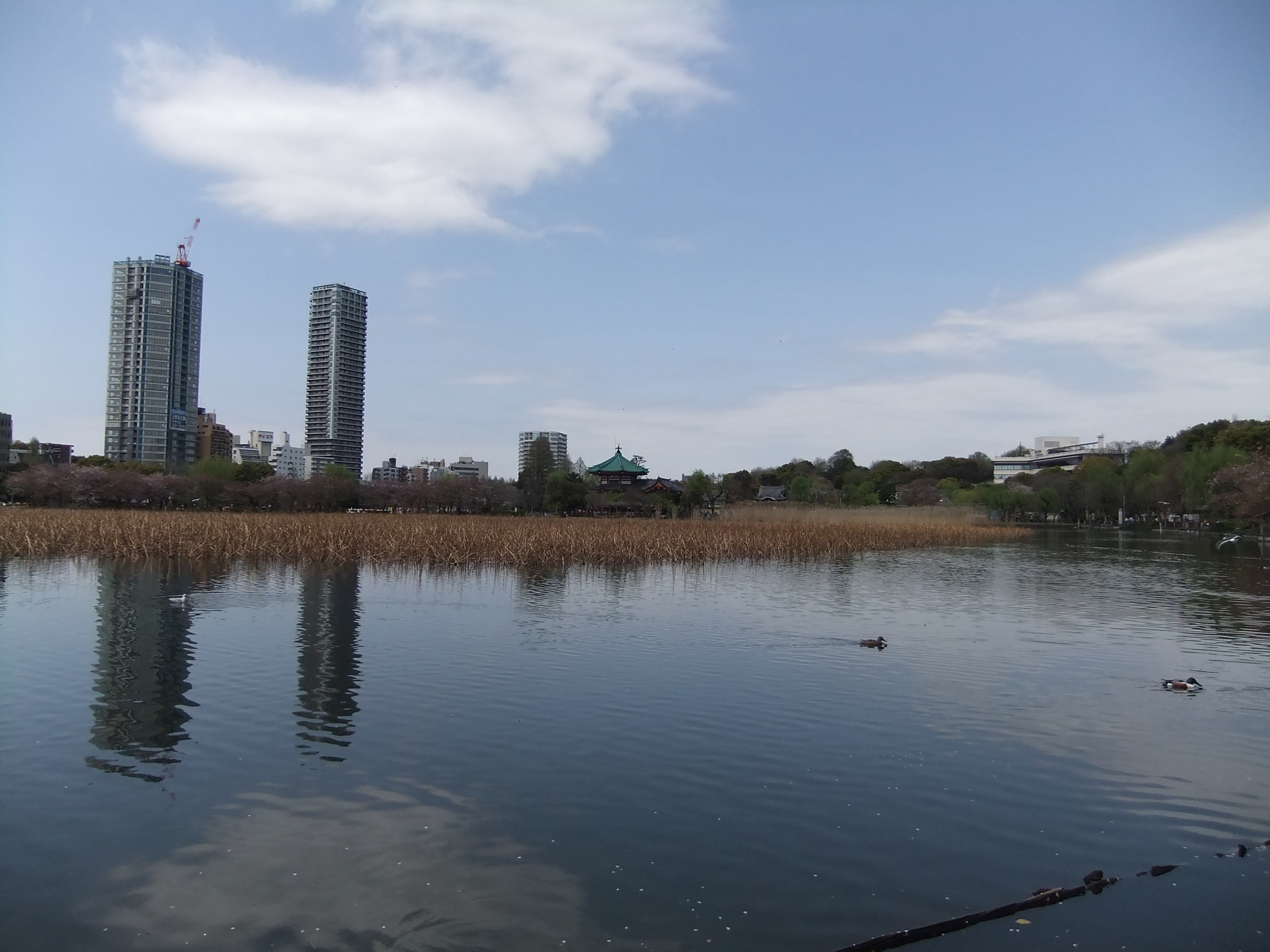 <b>広角端<br>FinePix F80EXR / 2,816×2,112 / 1/250秒 / F9 / 0EV / ISO100 / EXR：ダイナミックレンジ優先 / WB:オート / 5mm</b>