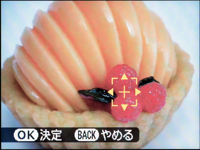 <b>測距点は自動選択や中央固定のほか、任意の位置に動かせる「エリア選択」も可能</b>