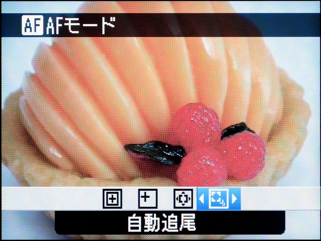 <b>色などの情報を利用して、構図などを変えても測距点が移動して追いかけてくれる「自動追尾」も備えている</b>