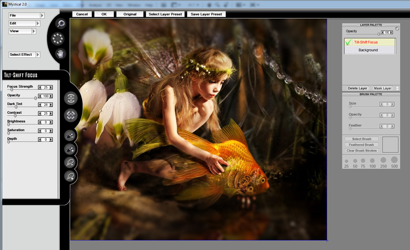 <b>ティルトシフトフォーカスの適用例</b>