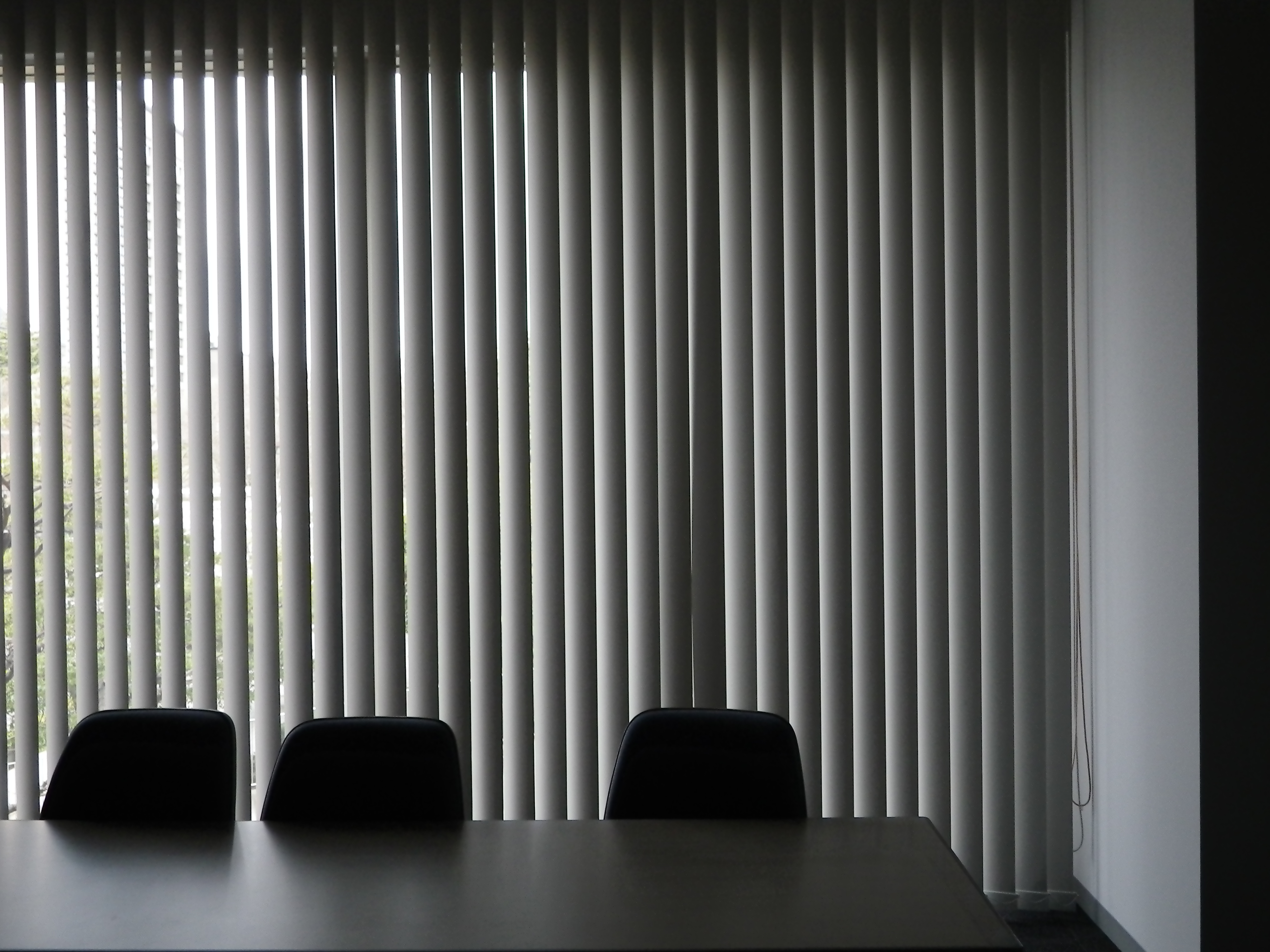 <b>ISO80<br>Optio W90 / 4,000×3,000 / 1/25秒 / F3.8 / -0.3EV / ISO80 / プログラム / WB:オート / 6mm</b>