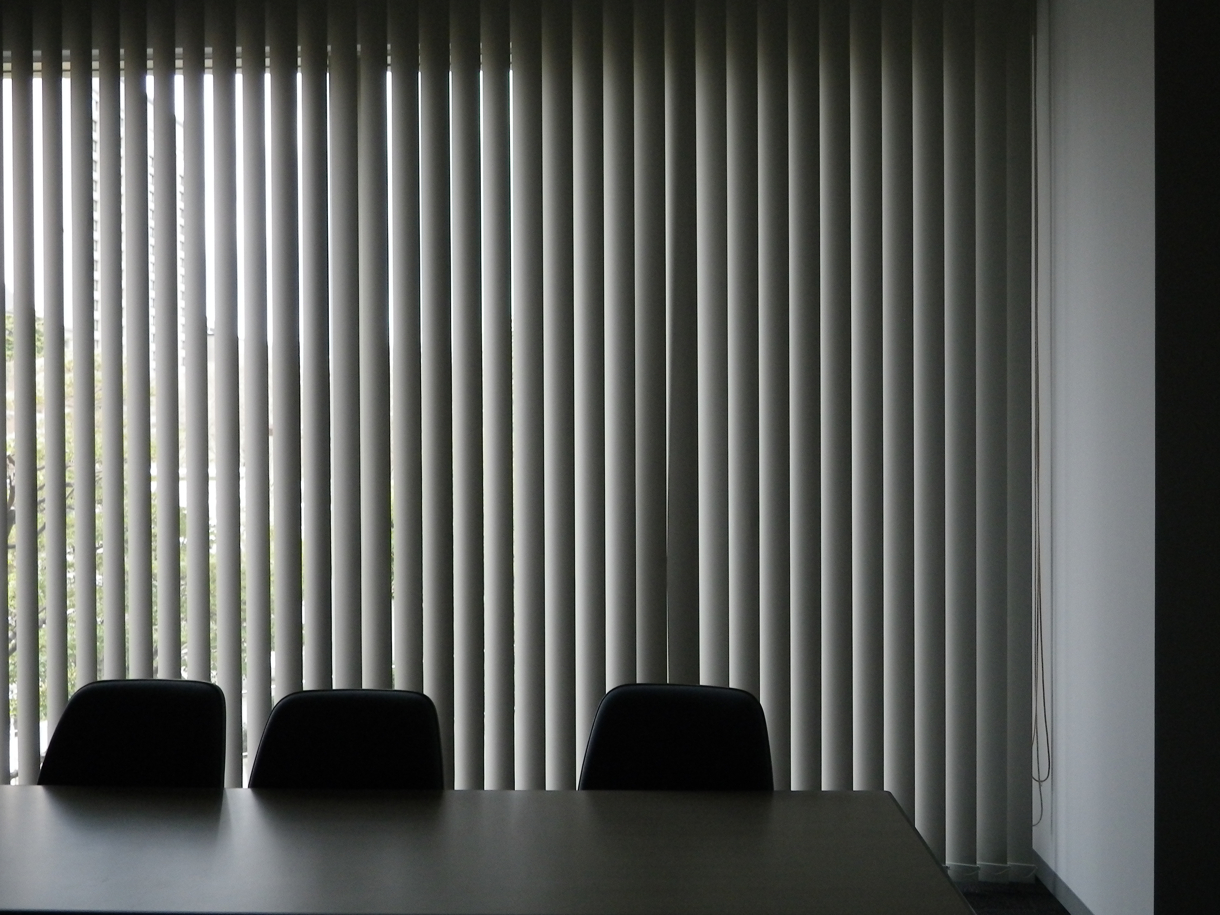 <b>ISO200<br>Optio W90 / 4,000×3,000 / 1/60秒 / F3.8 / -0.3EV / ISO200 / プログラム / WB:オート / 6mm</b>