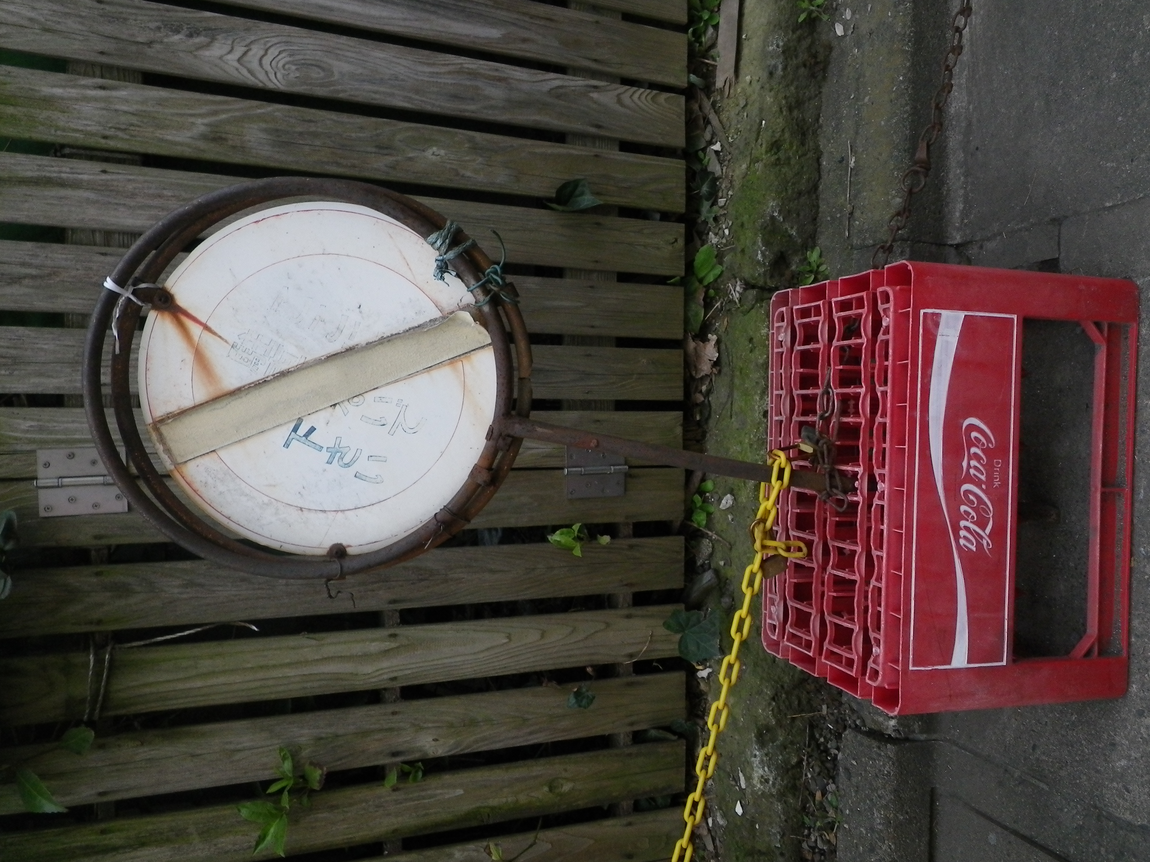 <b>オリジナル画像<br>Optio W90 / 4,000×3,000 / 1/60秒 / F3.5 / -0.7EV / ISO200 / プログラム / WB:オート / 5mm</b>