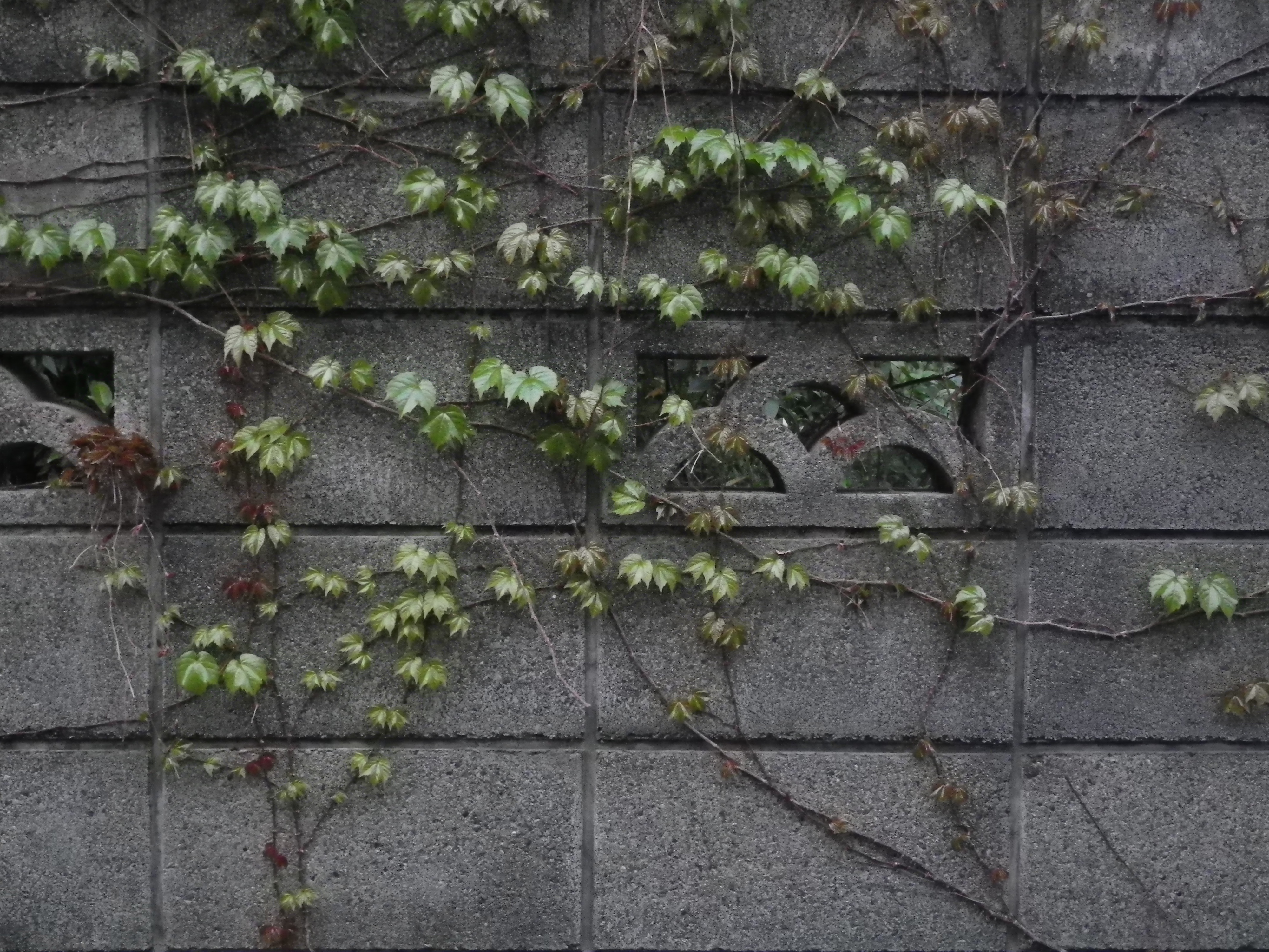 <b>オリジナル画像<br>Optio W90 / 4,000×3,000 / 1/13秒 / F4.2 / -1EV / ISO200 / プログラム / WB:オート / 7.5mm</b>