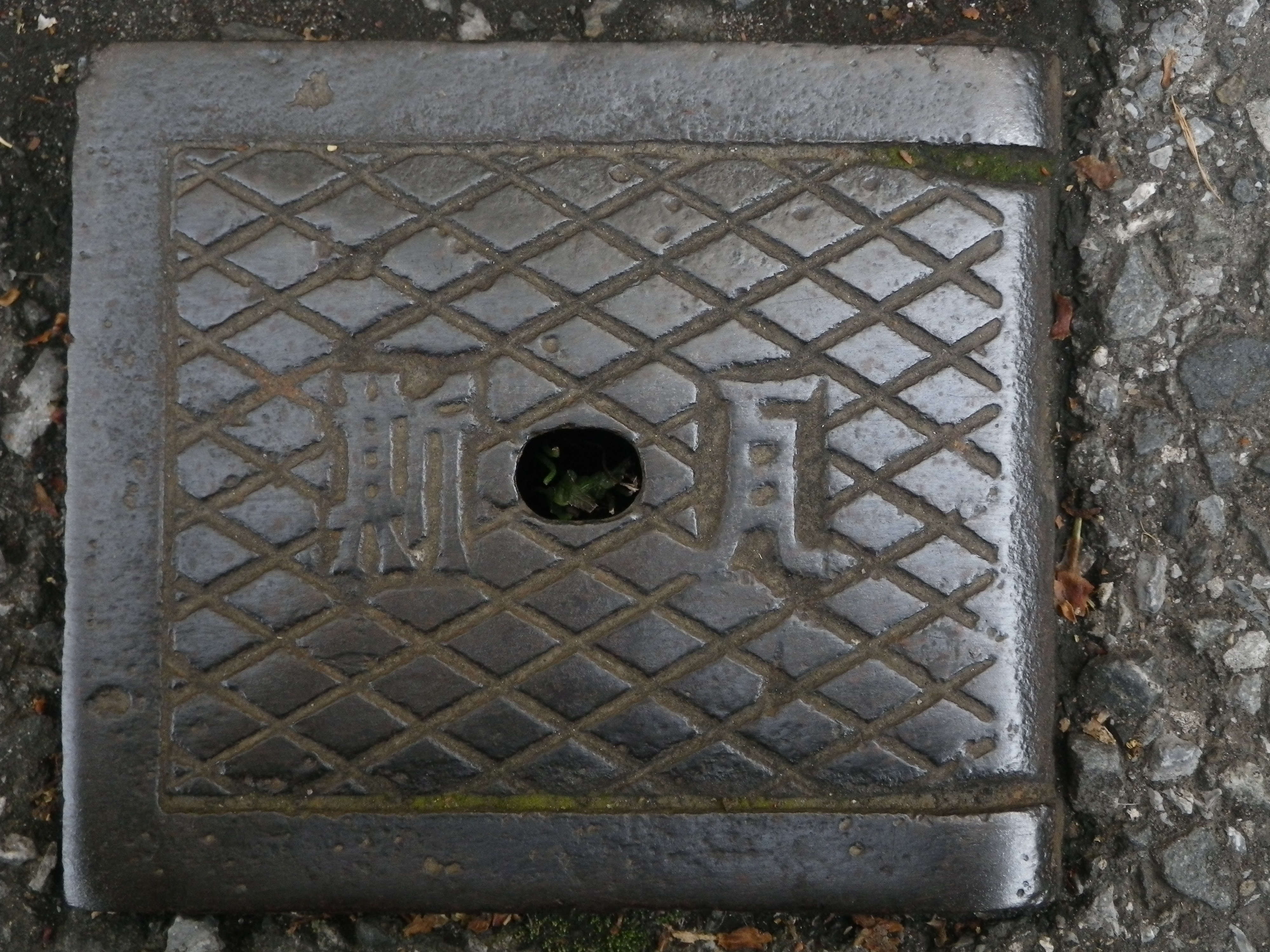 <b>Optio W90 / 4,000×3,000 / 1/60秒 / F4.4 / -0.7EV / ISO200 / プログラム / WB:オート / 9.1mm</b>