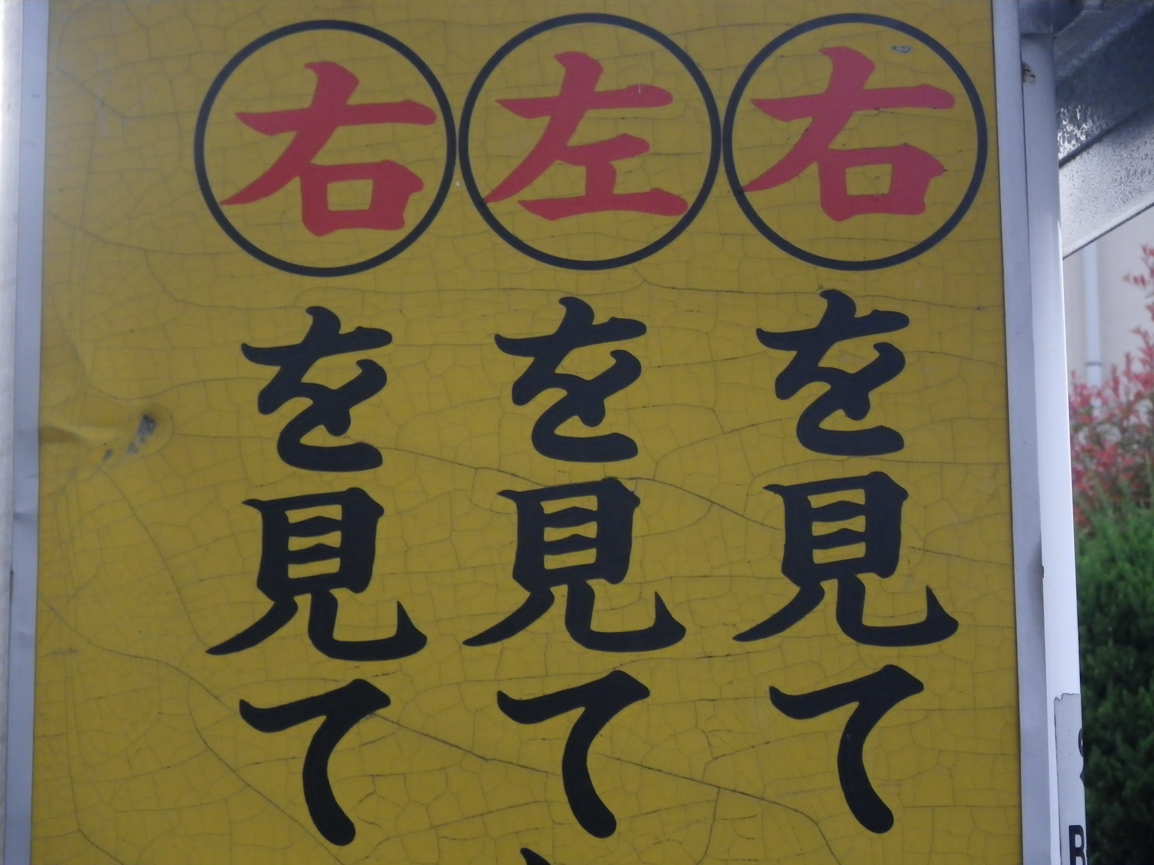 <b>Optio W90 / 4,000×3,000 / 1/40秒 / F4.8 / -0.7EV / ISO100 / プログラム / WB:オート / 13.7mm</b>