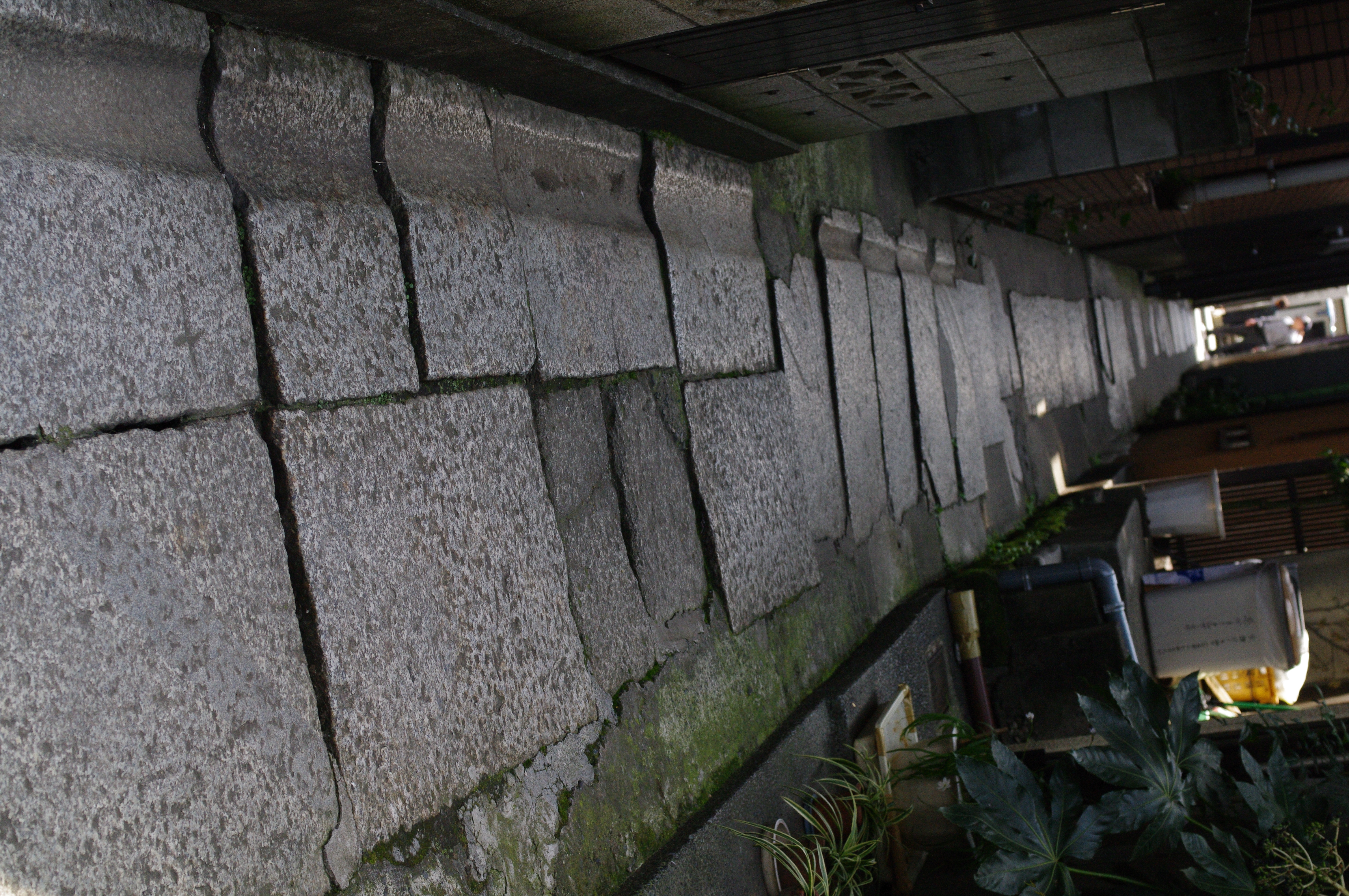 <b>K-7 / DA 40mm F2.8 Limited / 約8.9MB / 3,104×4,672 / 1/640秒 / F5.6 / -0.7EV / ISO800 / WB:オート / 40mm</b>