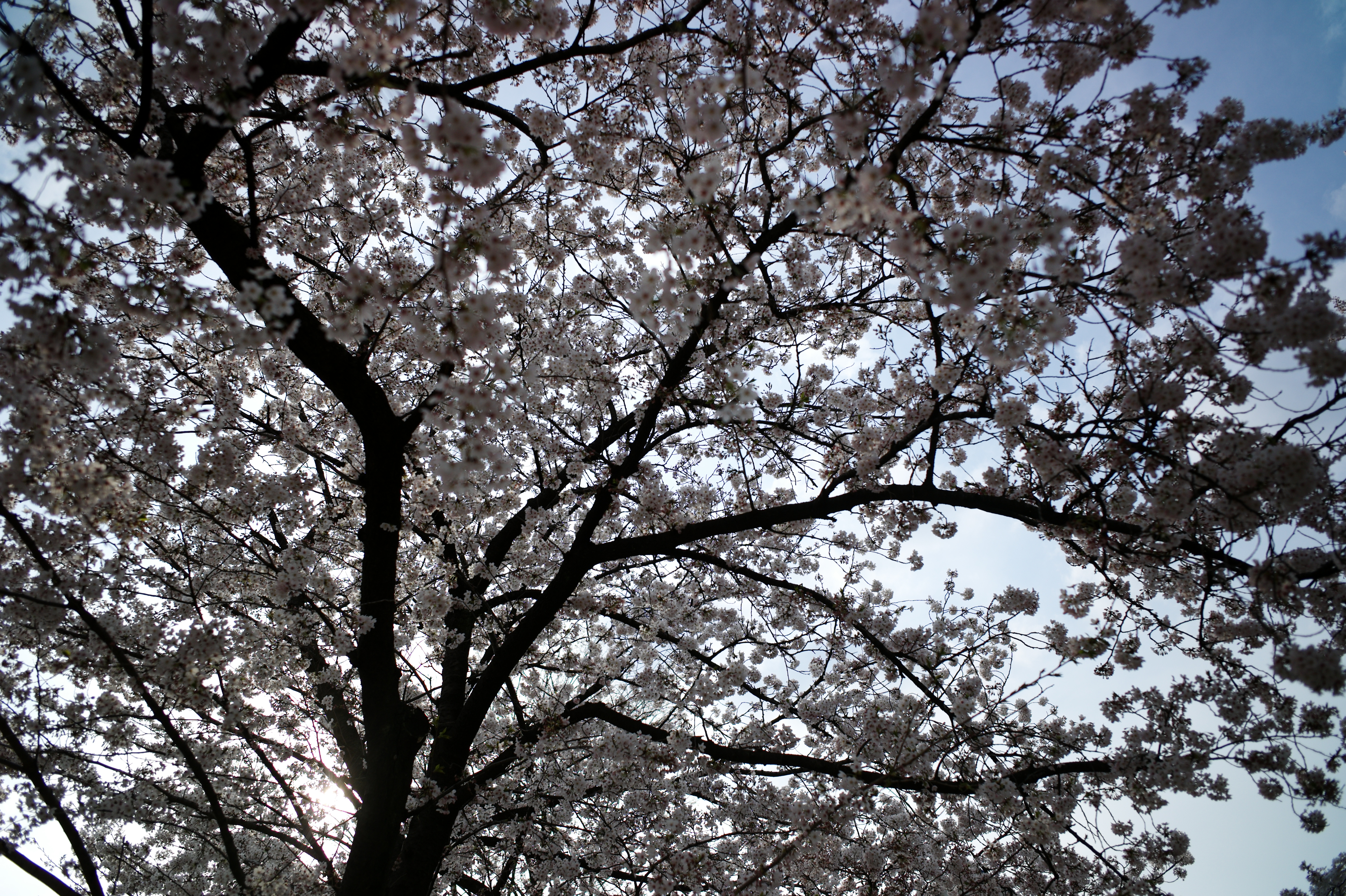 <b>6bitコード読み取り</b>