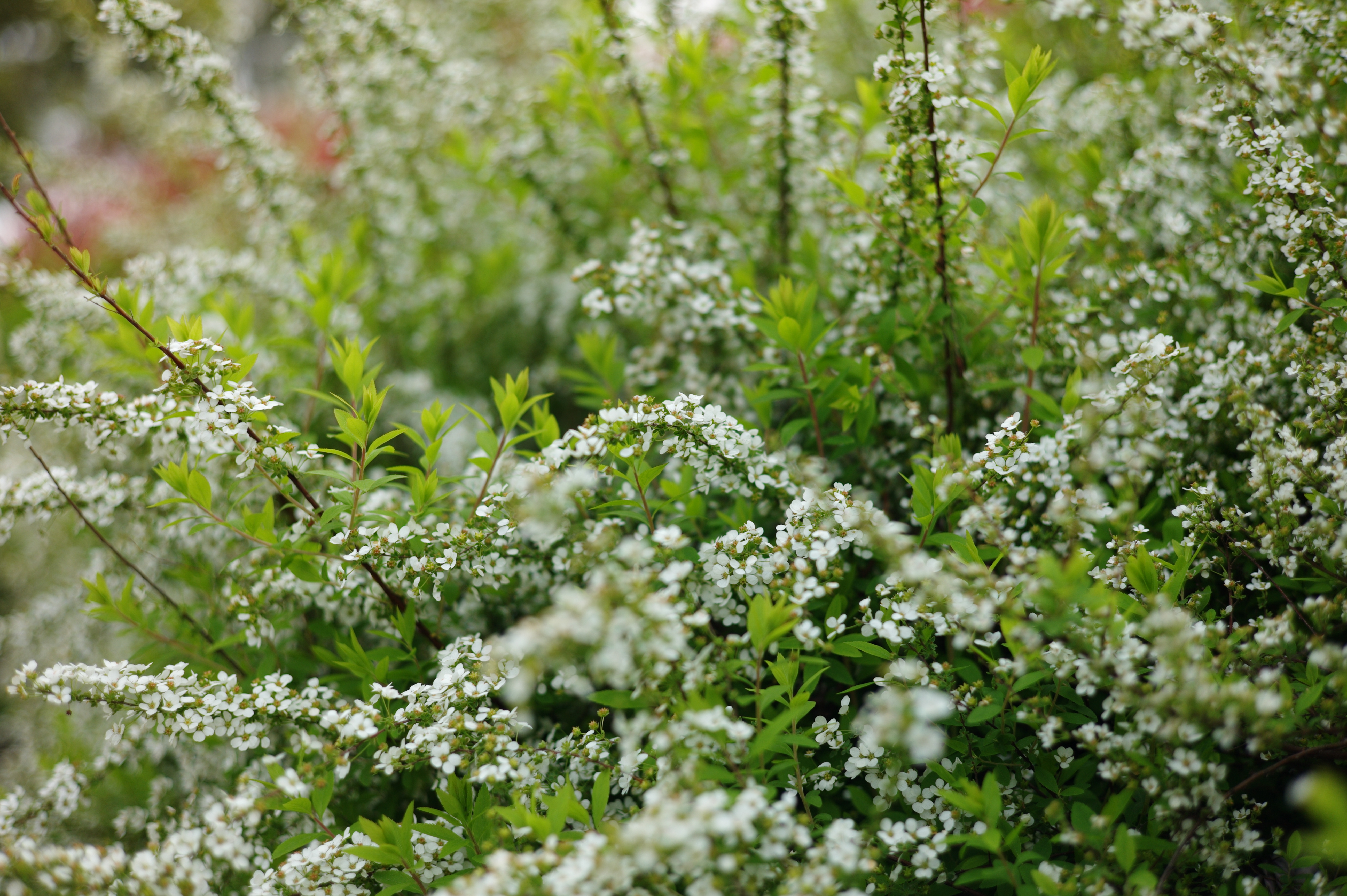 <b>6bitコード読み取り</b>