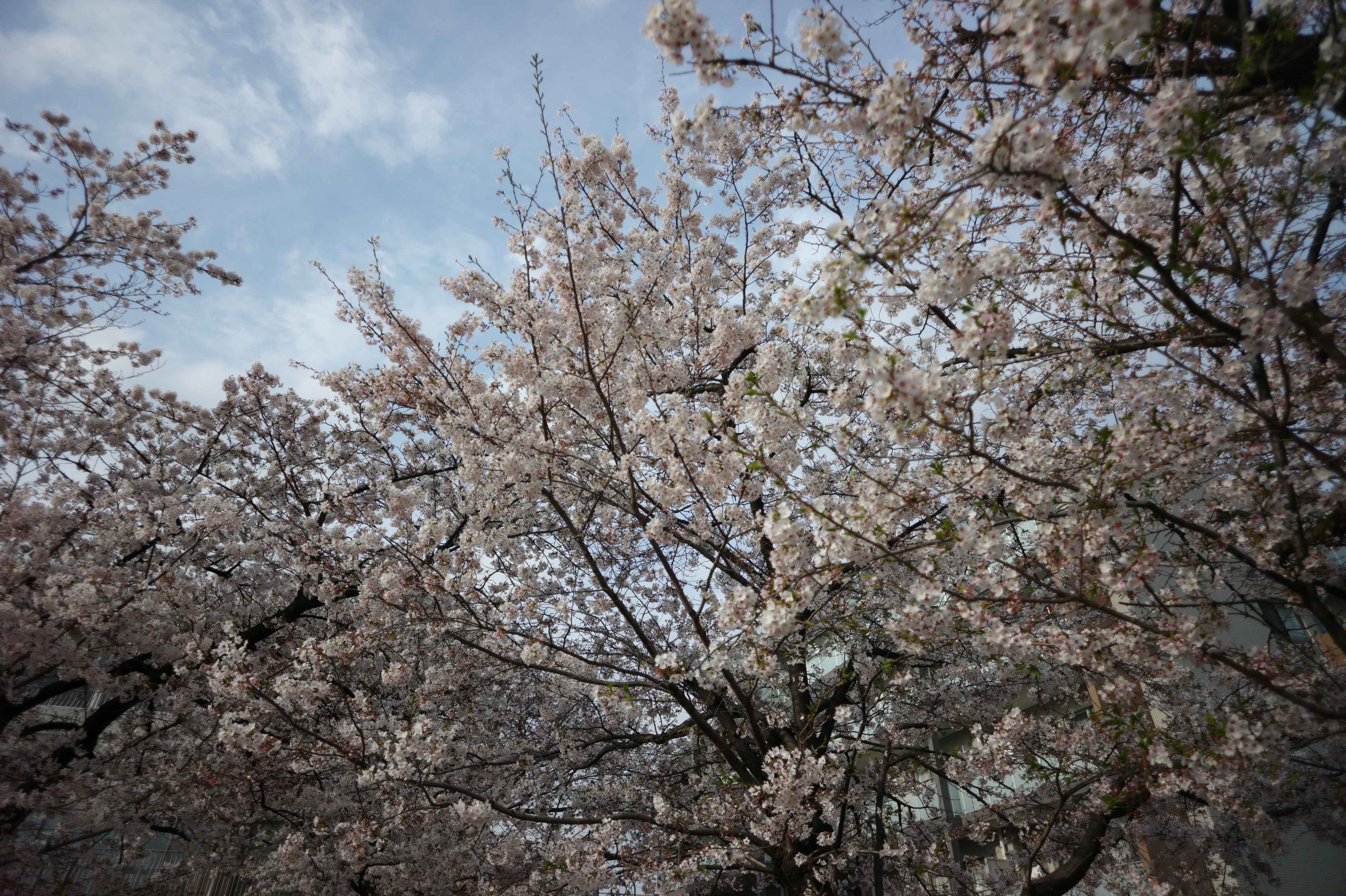 <b>マニュアルレンズ設定</b>