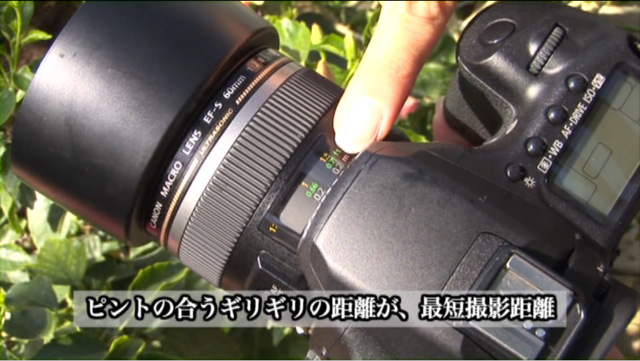 <b>本編では、カメラの設定方法や、構図などのテクニックについて解説する</b>