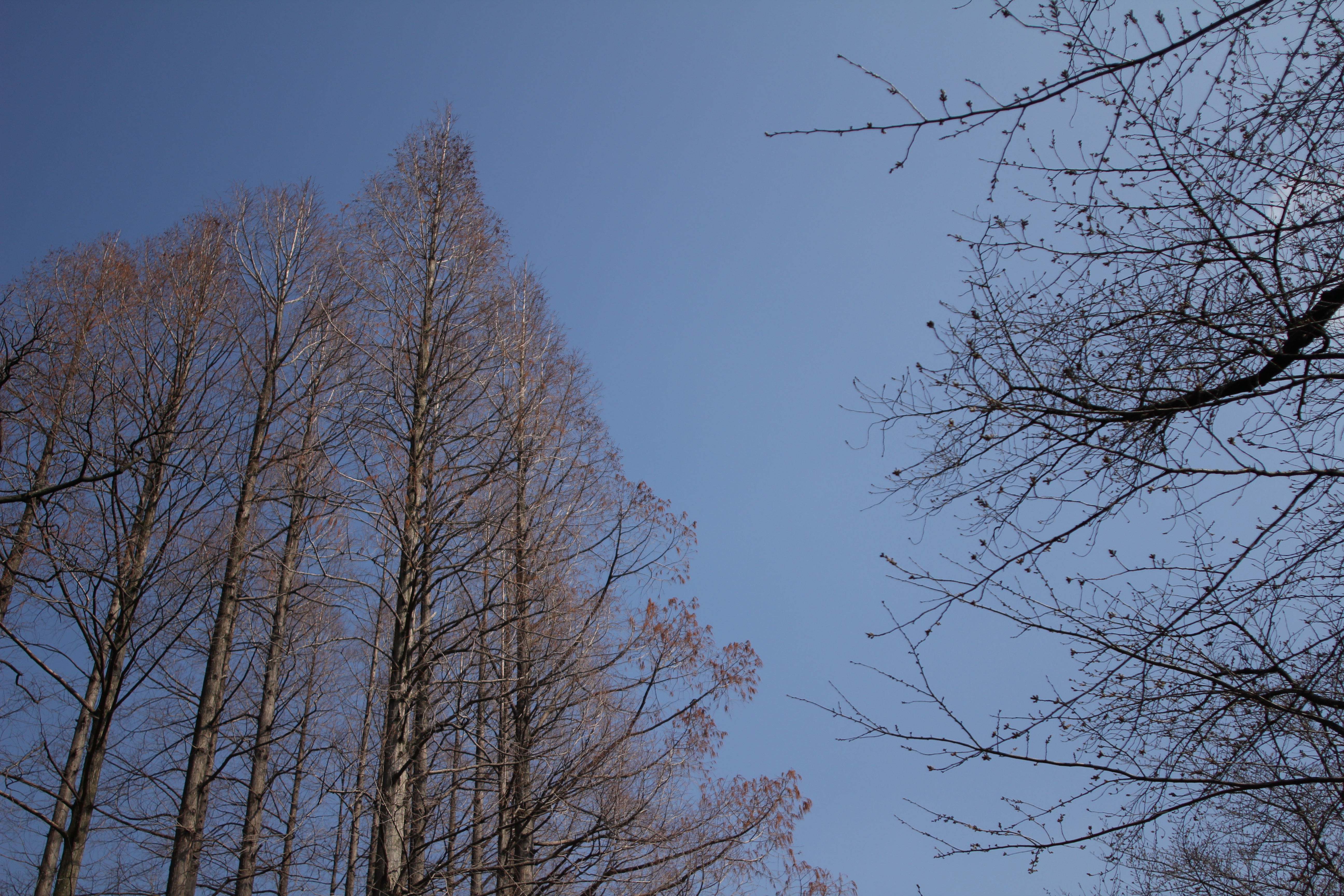 <b>F2.8<br>5,184×3,456 / 1/3,200秒 / ISO100 / WB:太陽光</b>