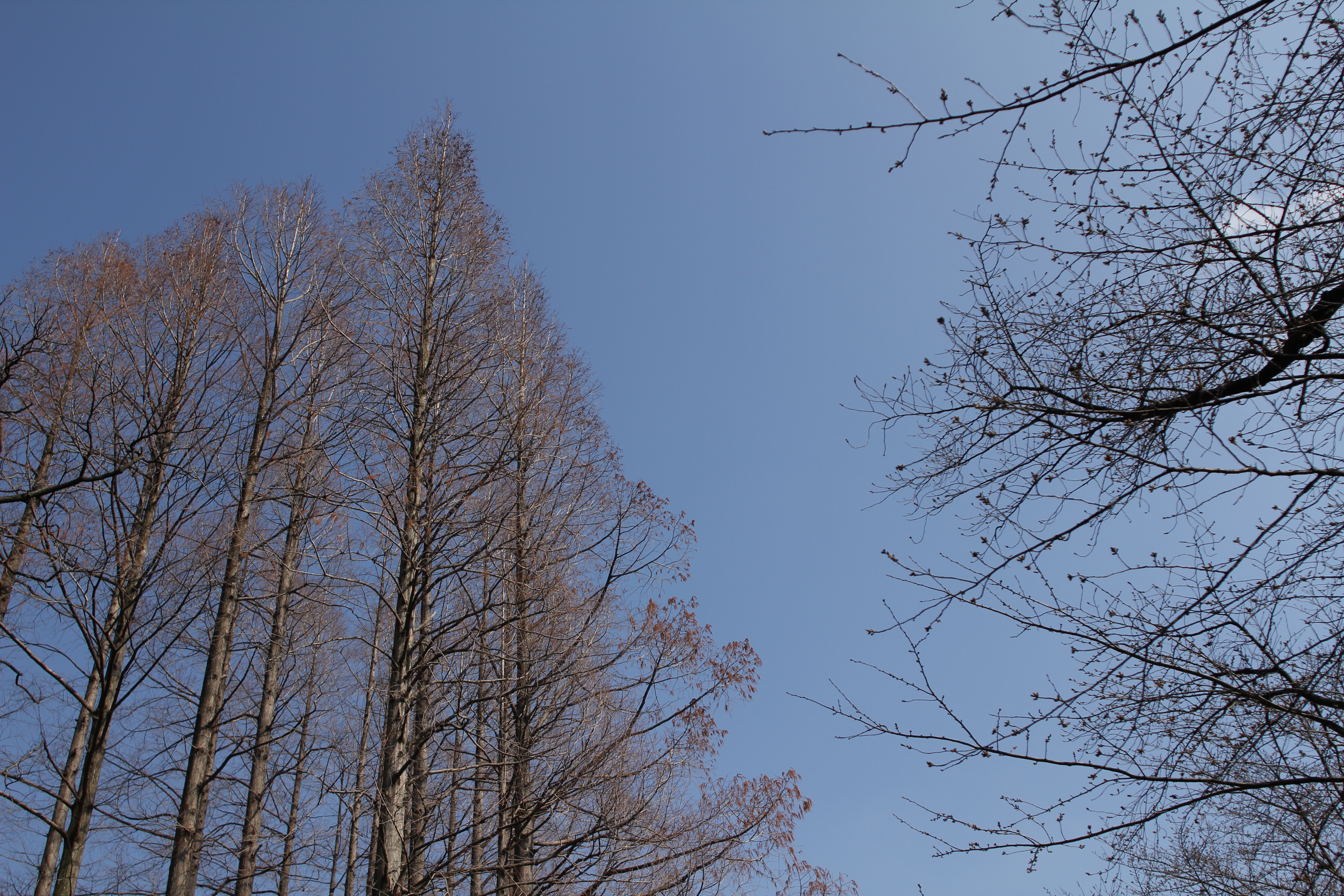 <b>F4<br>5,184×3,456 / 1/1,600秒 / ISO100 / WB:太陽光</b>