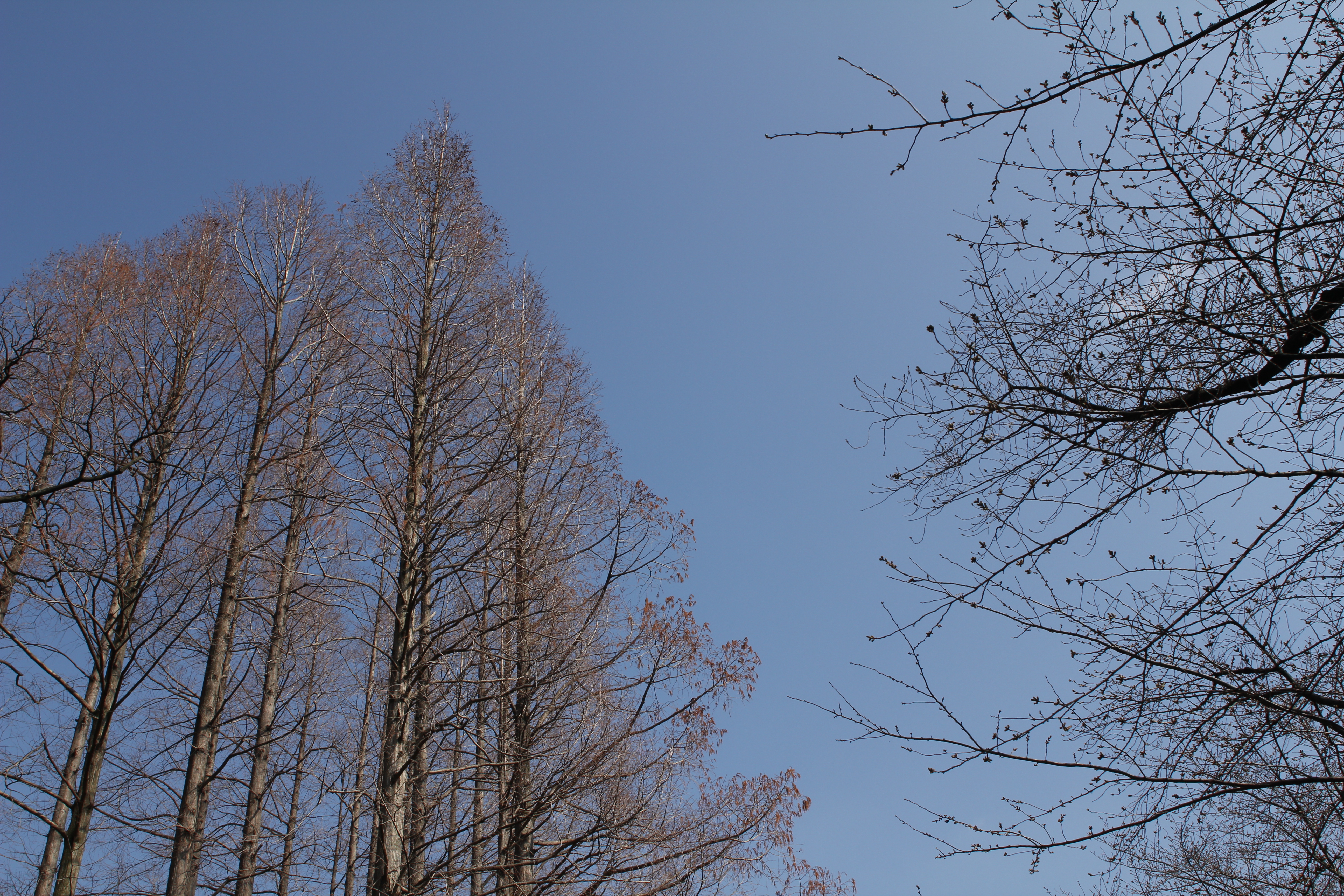 <b>F11<br>5,184×3,456 / 1/200秒 / ISO100 / WB:太陽光</b>