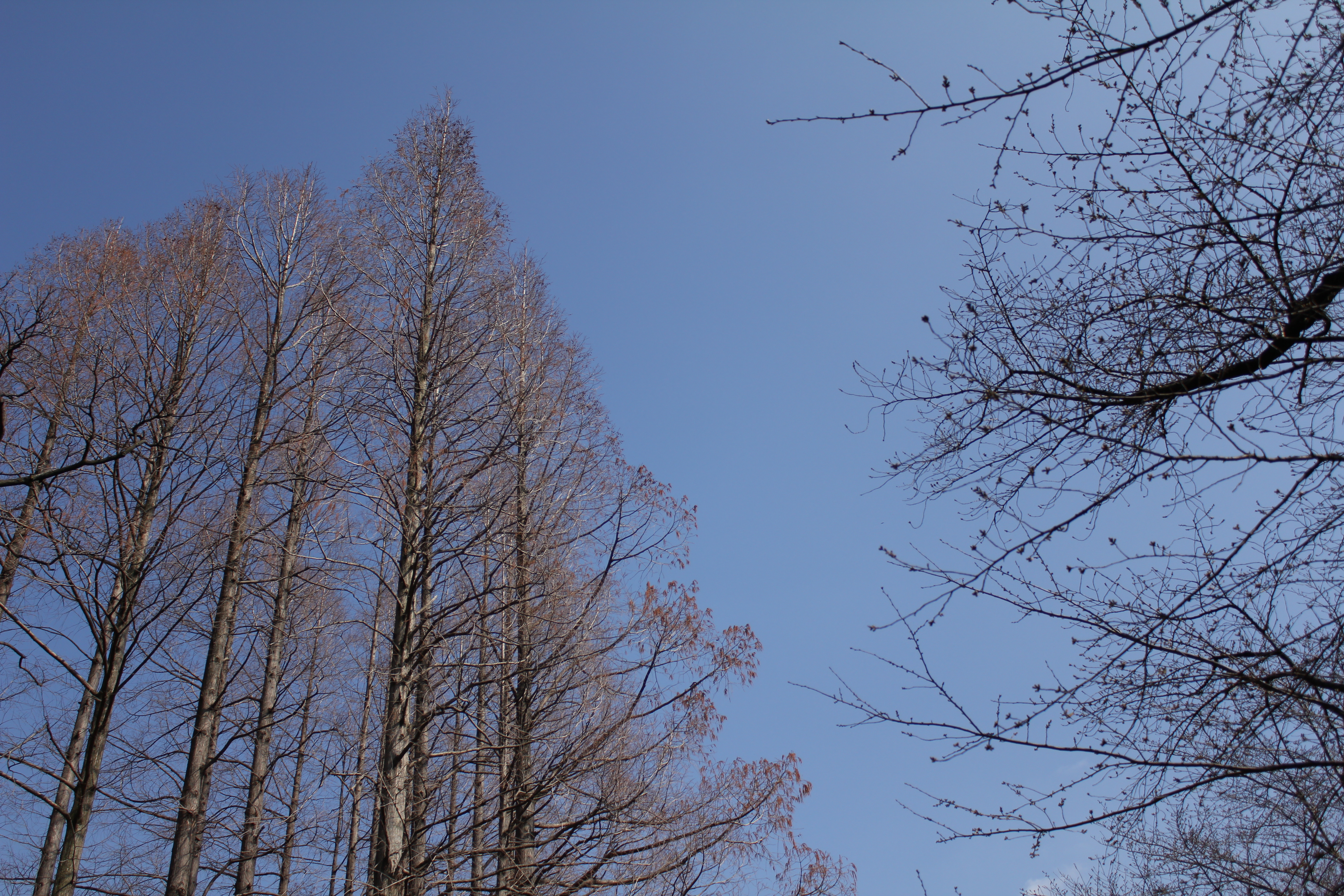 <b>F4<br>5,184×3,456 / 1/1600秒 / ISO100 / WB:太陽光</b>