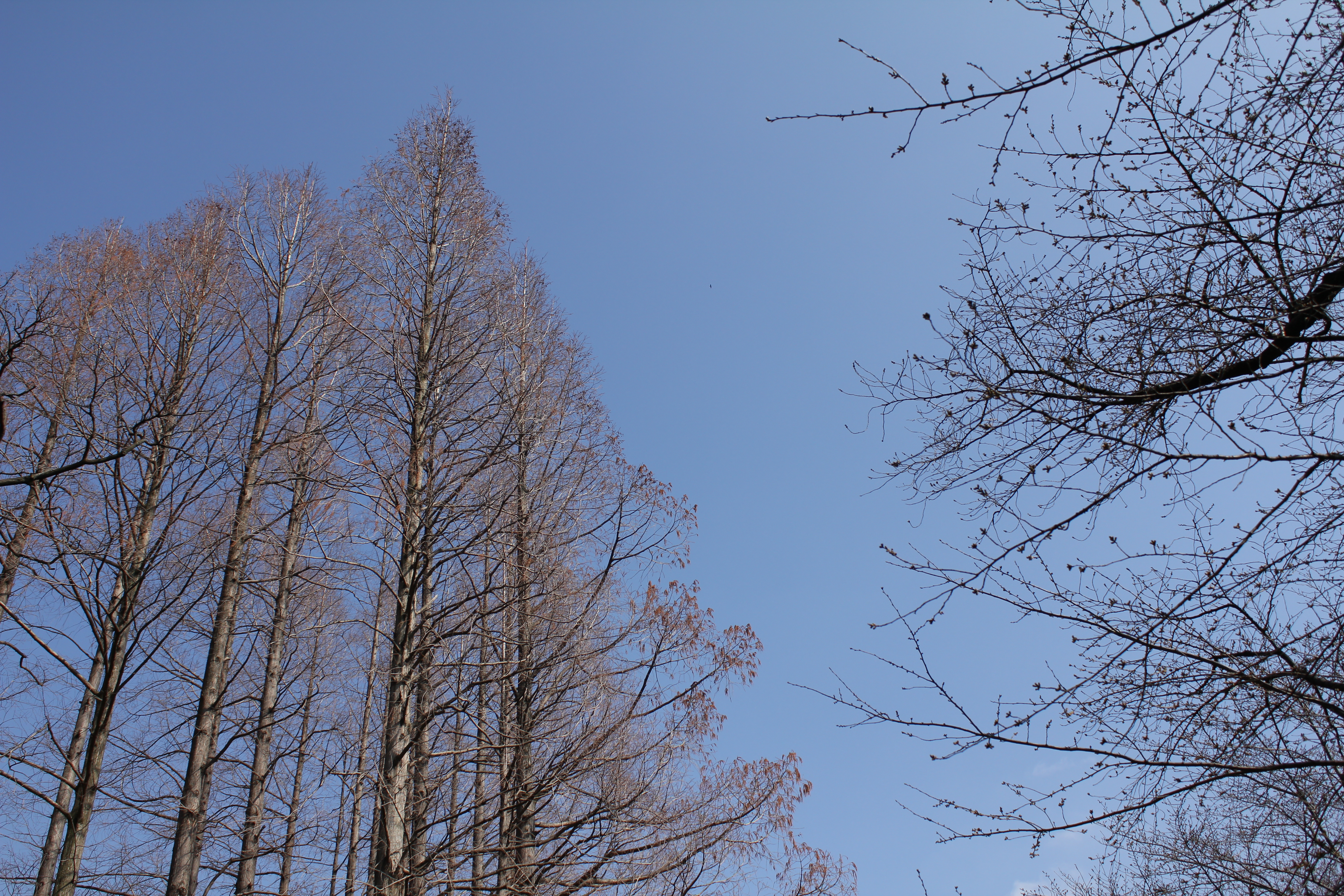 <b>F5.6<br>5,184×3,456 / 1/800秒 / ISO100 / WB:太陽光</b>