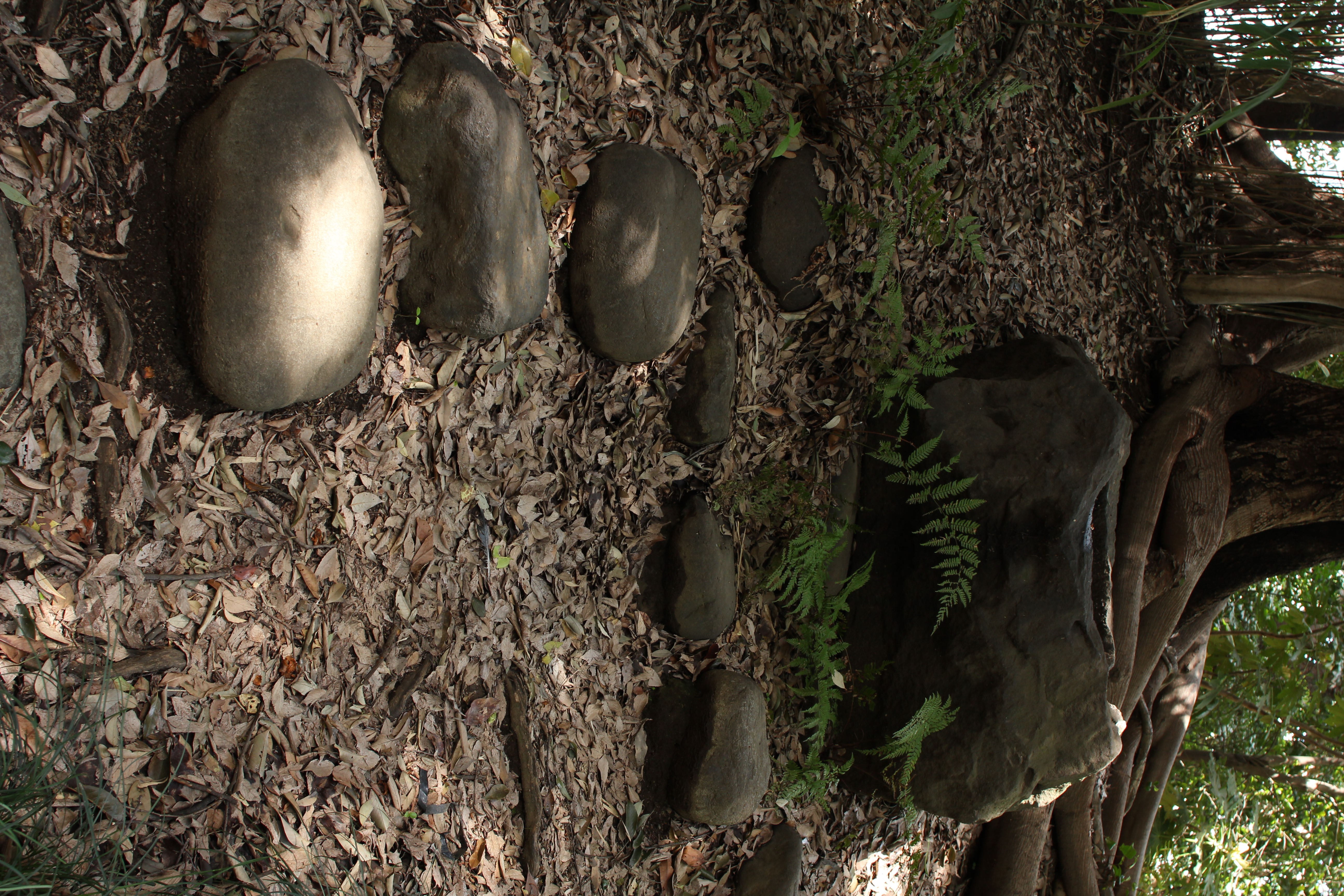 <b>ちょうどこの石にだけ木漏れ日が当たっていて、それがおもしろくて撮ってみた<br>EF 24mm F2.8 / 5,184×3,456 / 1/25秒 / F5.6 / ISO200 / WB:太陽光</b>