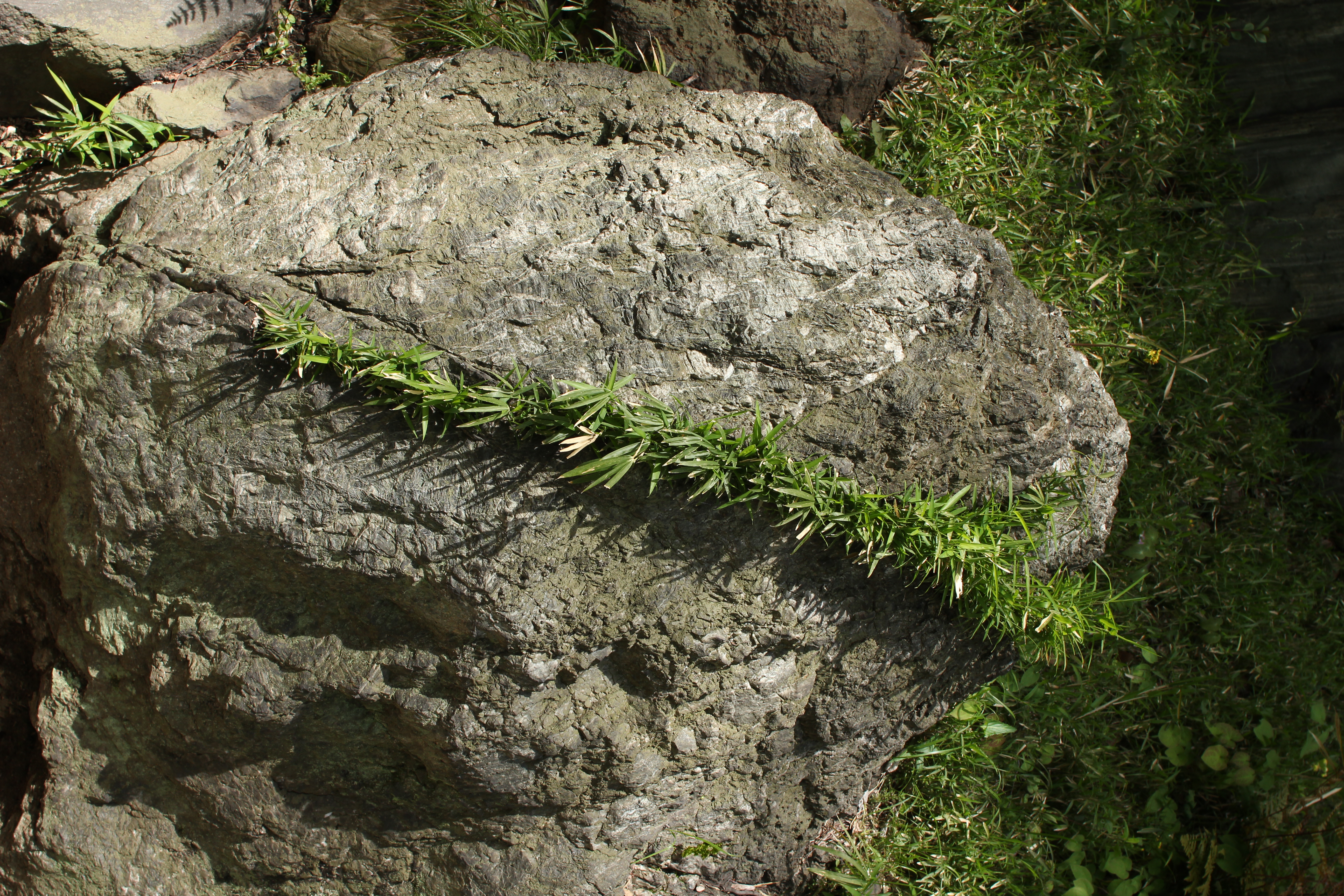 <b>岩の割れ目に草が生えていた。そのうちに根っこの力でこの岩が真っ二つに割れる日が来るかもしれない<br>EF 24mm F2.8 / 5,184×3,456 / 1/160秒 / F8 / ISO200 / WB:太陽光</b>