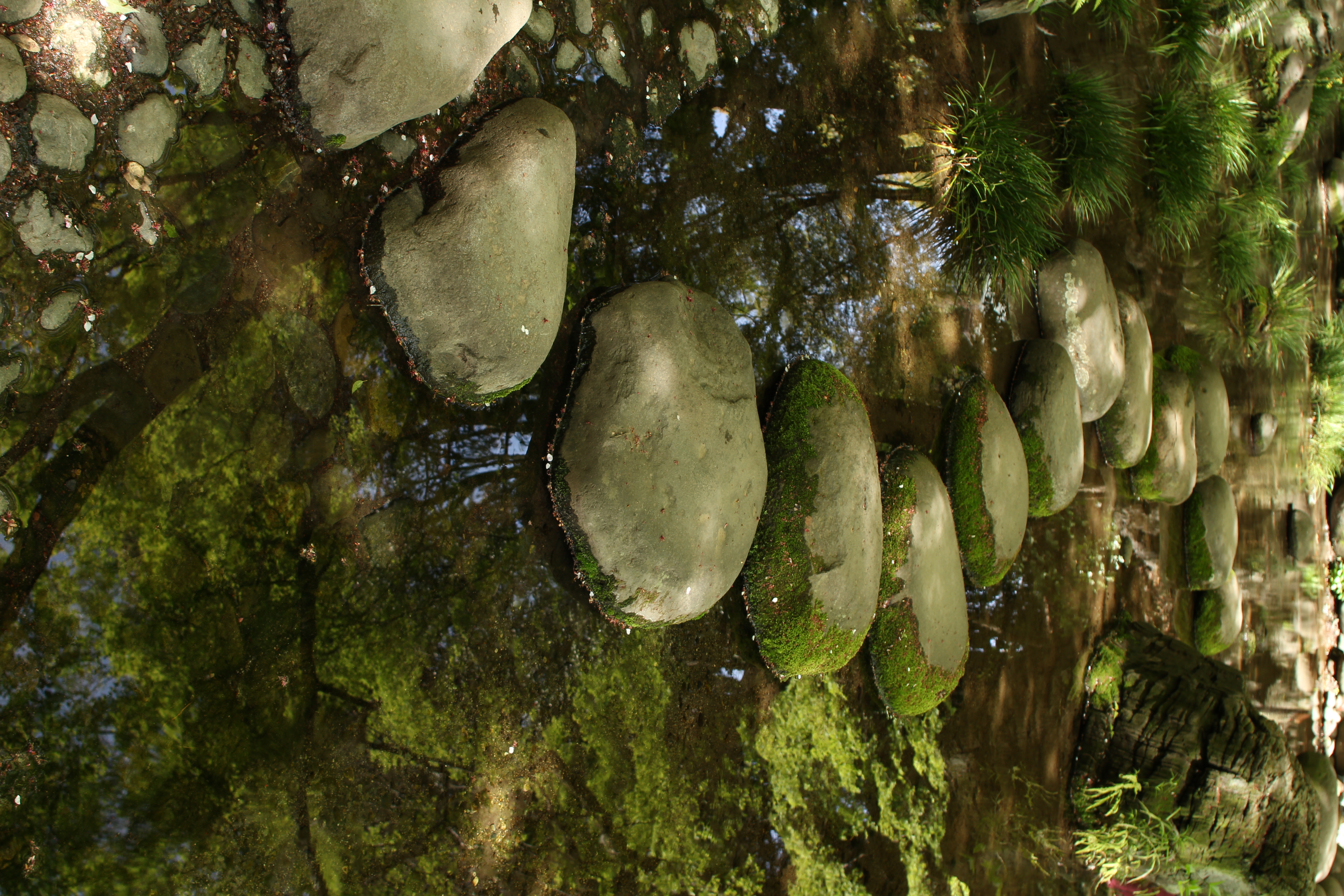 <b>露出補正が面倒になるとマニュアル露出で撮ったりする。電子ダイヤルを回すだけで露出調整ができるから慣れると案外に快適なのだ<br>EF 24mm F2.8 / 5,184×3,456 / 1/30秒 / F5.6 / ISO100 / WB:太陽光</b>