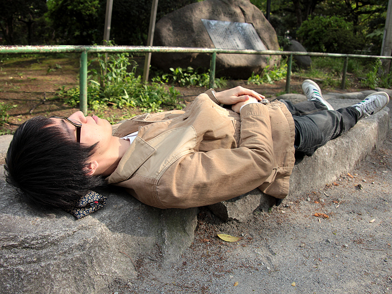 <b>眠いときには簡易枕に</b>