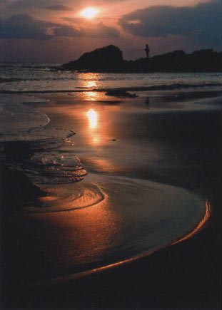 <b>(c) 鈴木治之</b>