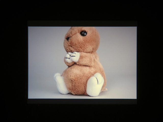 <b>リコーVF-2（ボディユニットはGXR）</b>