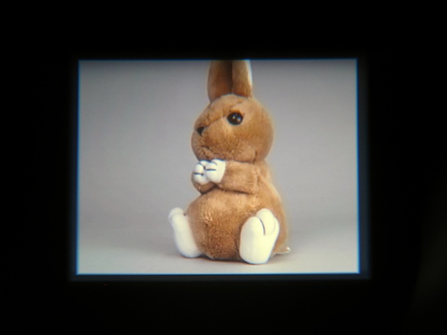 <b>リコーVF-1（ボディはGX200）</b>