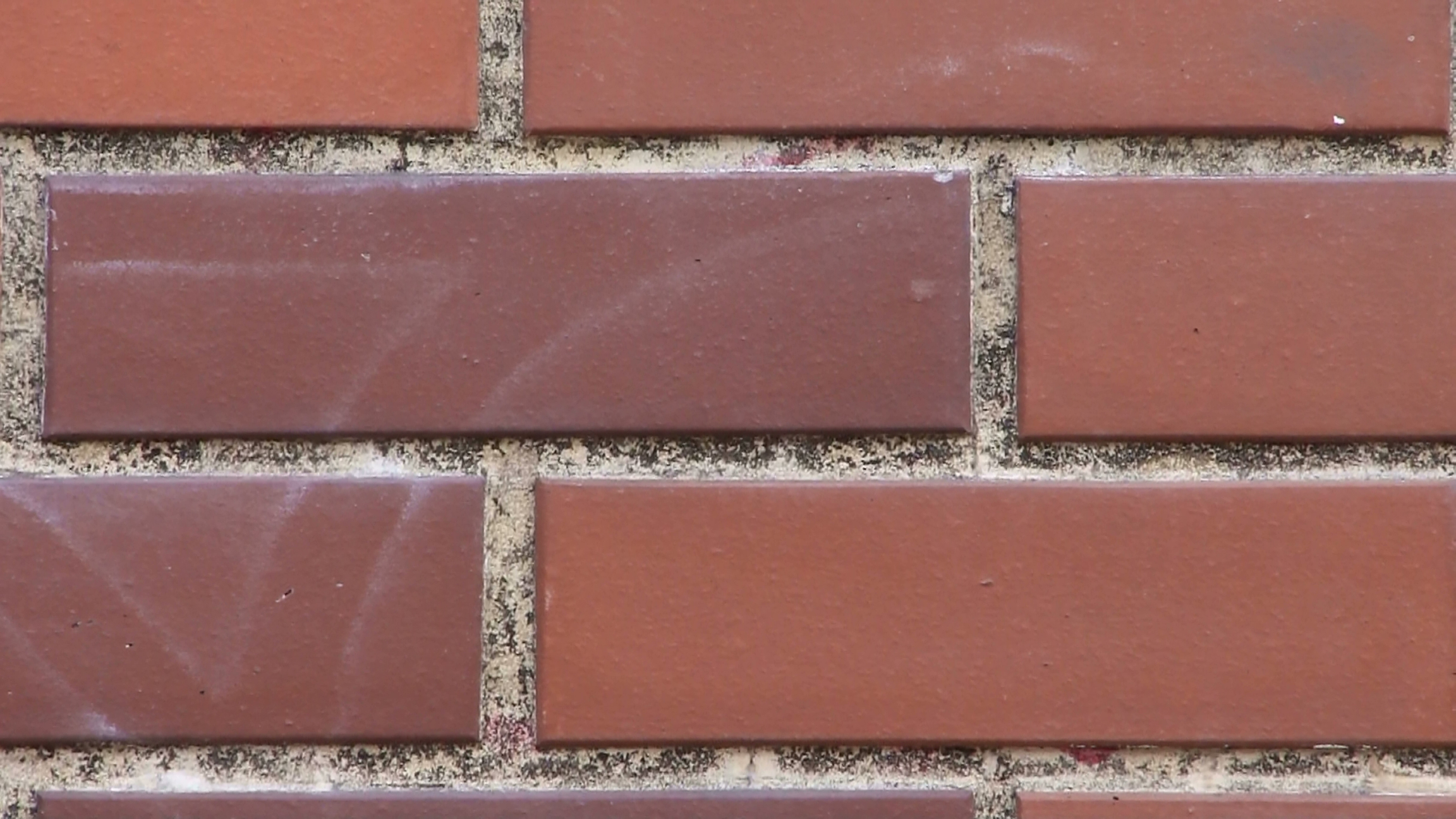 <b>AVCHD動画から切り出し。望遠端</b>