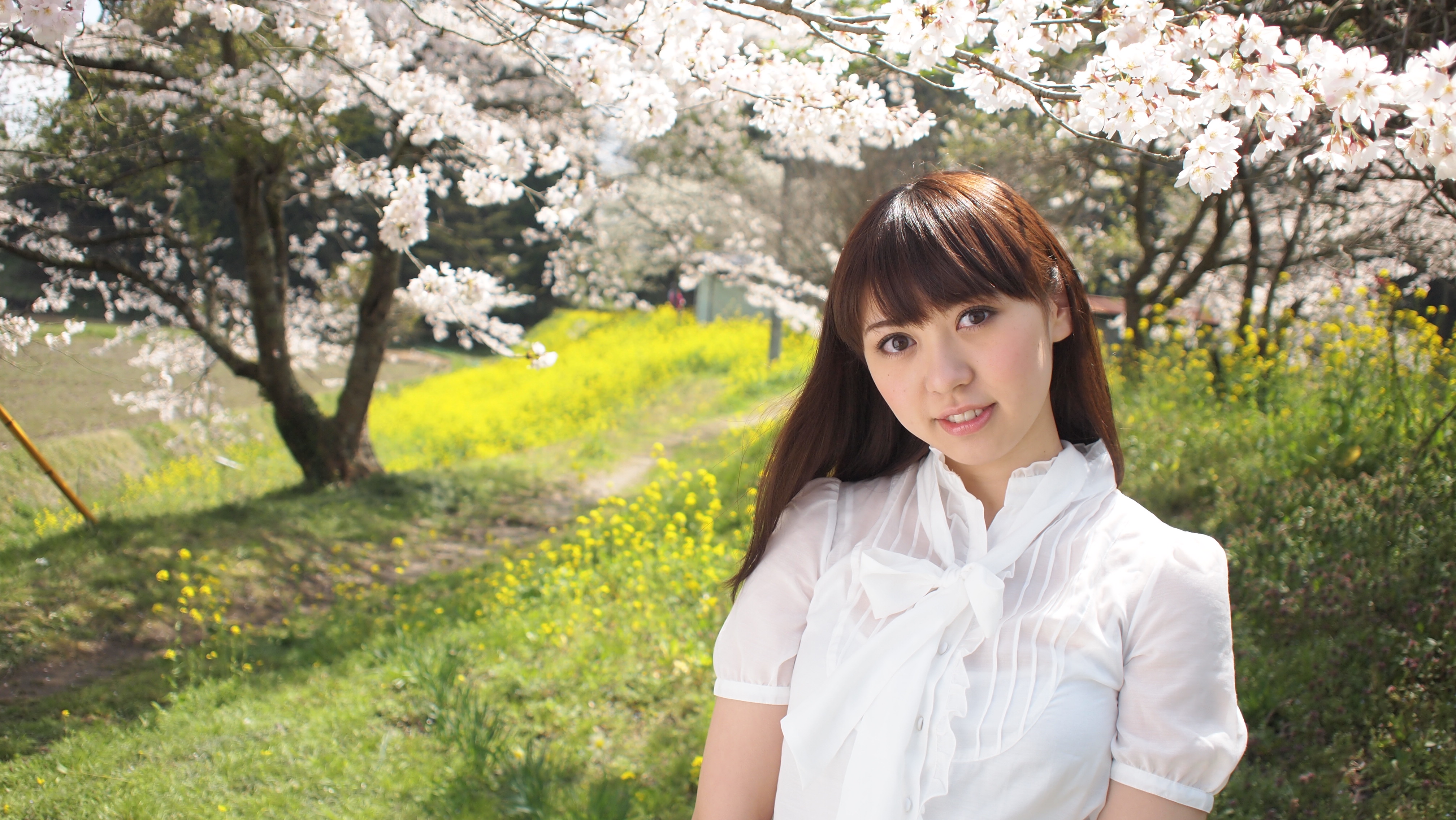 <b>E-PL1 / M.ZUIKO DIGITAL 17mm F2.8 / 4,032×2,272（16：9で撮影） / 1/2,000秒 / F2.8 / 0EV / ISO200 / WB:オート / 17mm<br>サムネイルをクリックすると、E-PL1で撮影した静止画像を開きます。（撮影：野下義光）</b>