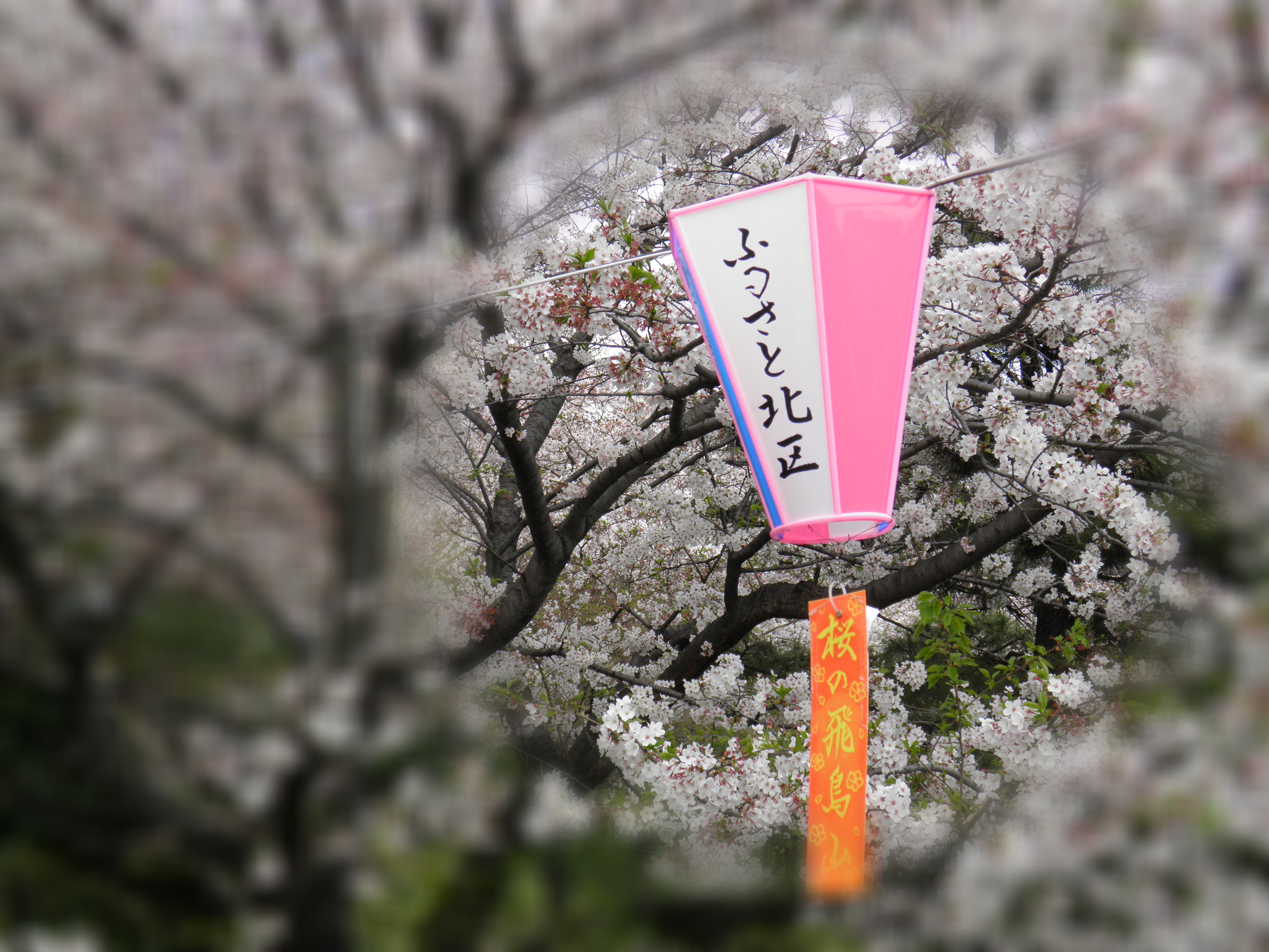 <b>背景ぼかしON（失敗例）</b>