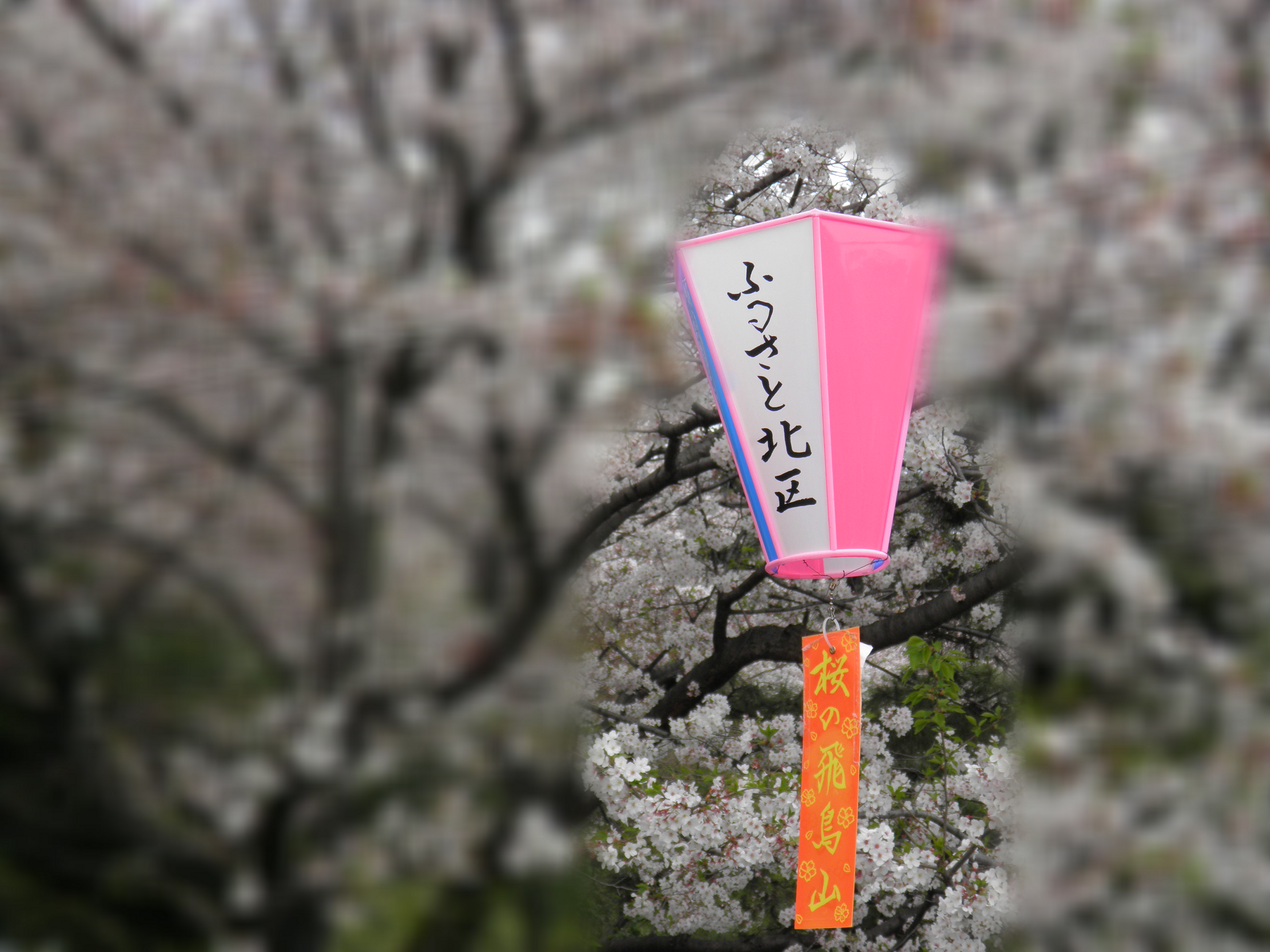 <b>背景ぼかしON（失敗例）</b>