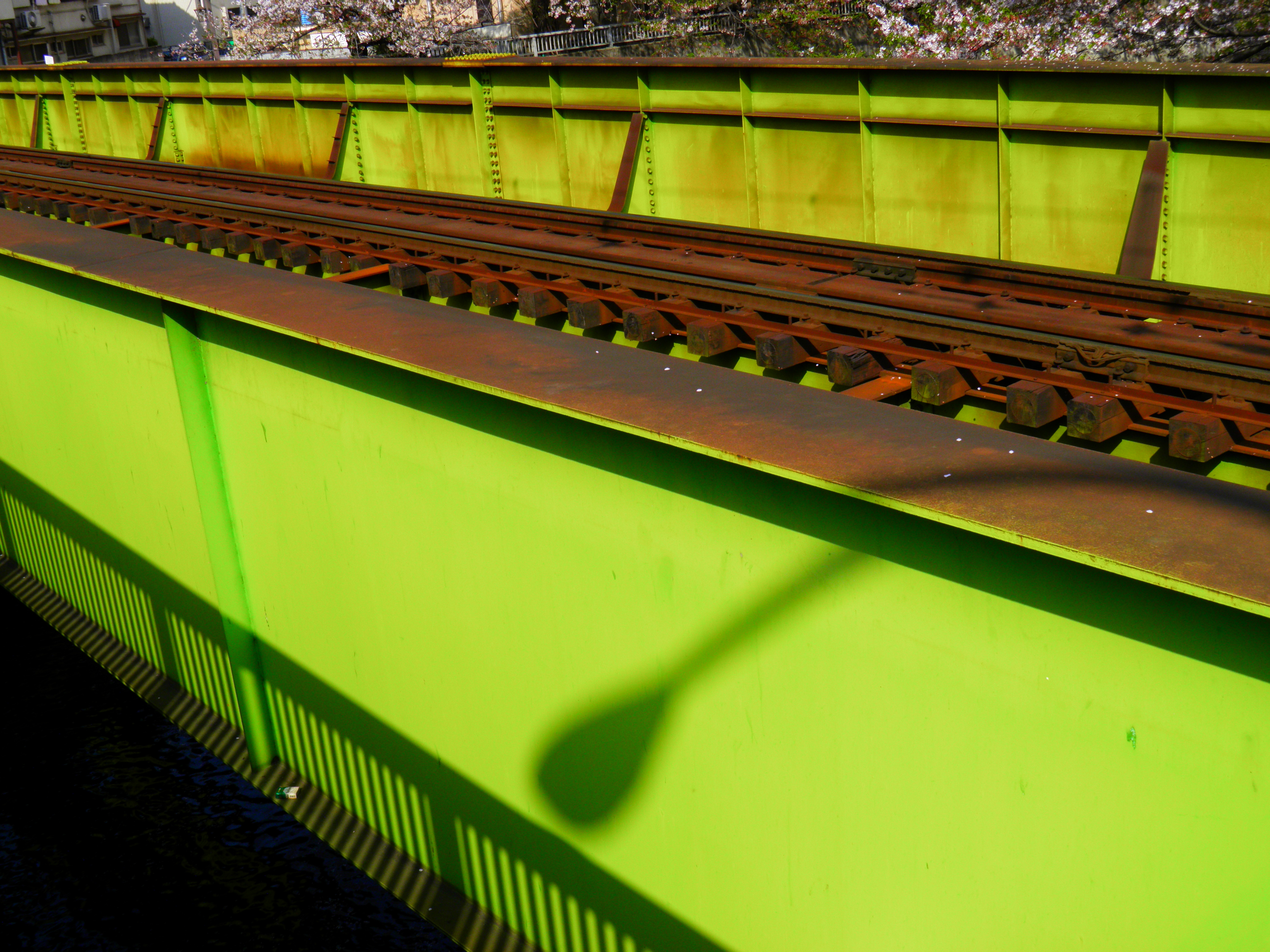 <b>ポップ<br>SP-800UZ / 約5.8MB / 4,288×3,216 / 1/320秒 / F5.7 / 0EV / ISO50 / WB:オート / 7.1mm</b>