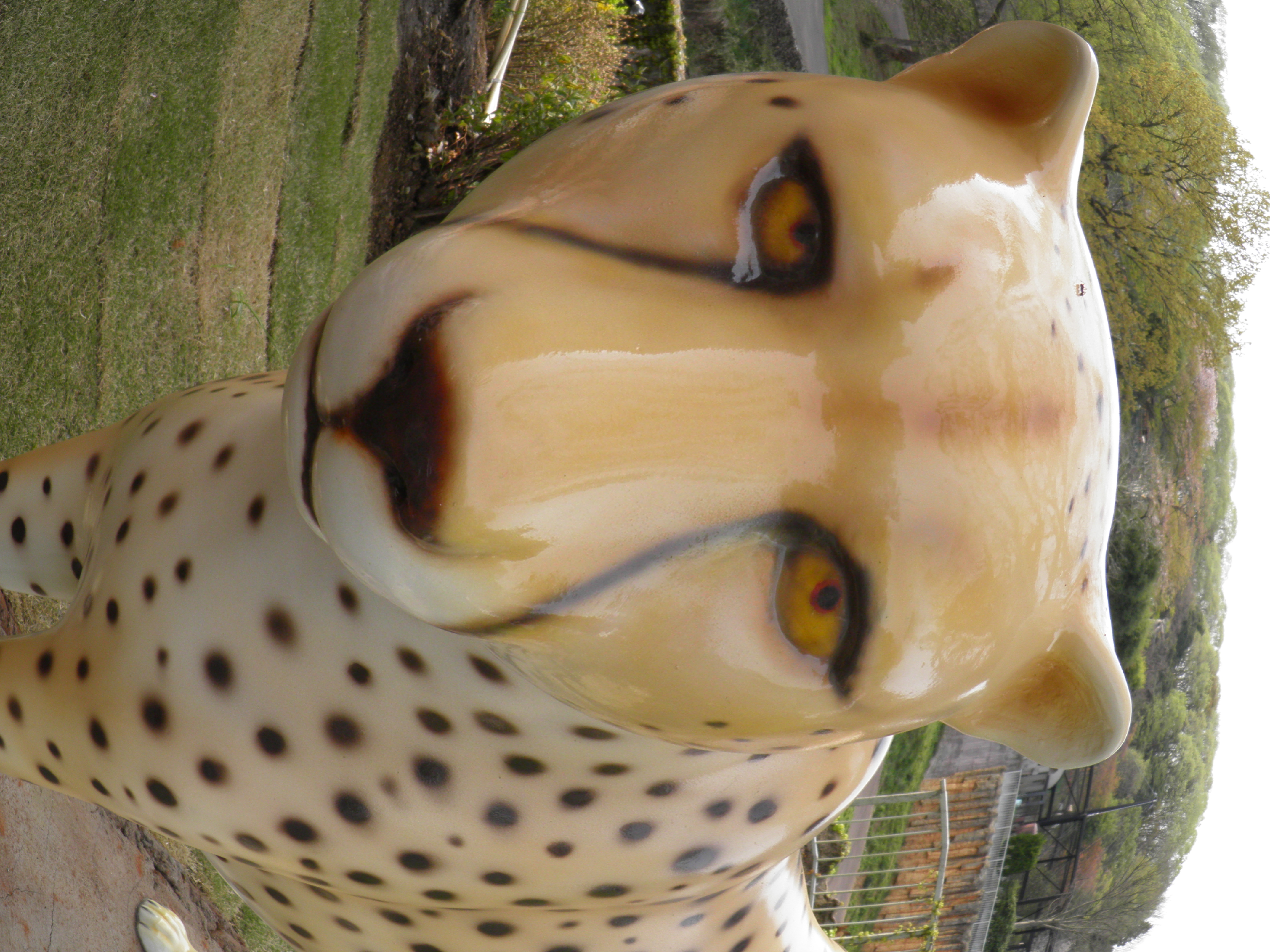 <b>フィッシュアイ<br>SP-800UZ / 約4.9MB / 3216x4288 / 1/80秒 / F5.7 / 0EV / ISO50 / WB:オート / 4.9mm</b>