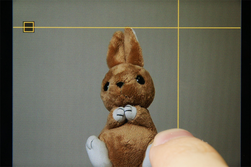 <b>任意の位置に移動できるガイドラインを搭載</b>