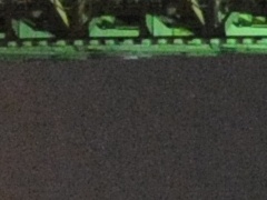 <b>同時記録のJPEG画像。高感度ノイズ低減:標準</b>