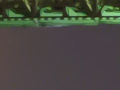 <b>ACR 6.0で現像。ノイズ低減・輝度:100</b>