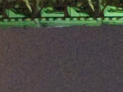 <b>ACR 4.6で現像。ノイズ低減・輝度:25</b>