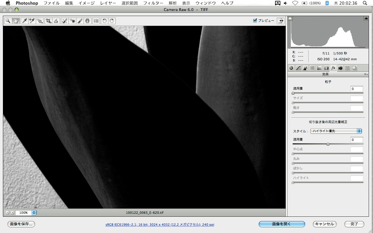 <b>ACR 6.0「効果」パネルの「粒子」で、粒状感を追加できる（これは適用量が0の状態）</b>