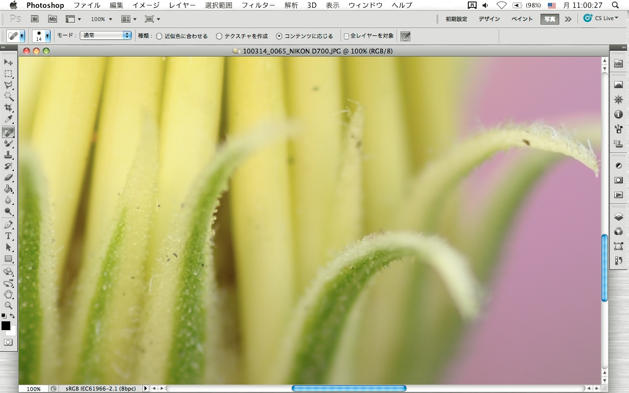 <b>道路端の植え込みの花などは、パッと見はきれいでも、撮った画像をピクセル等倍で見ると、けっこうゴミが付着していたりする</b>