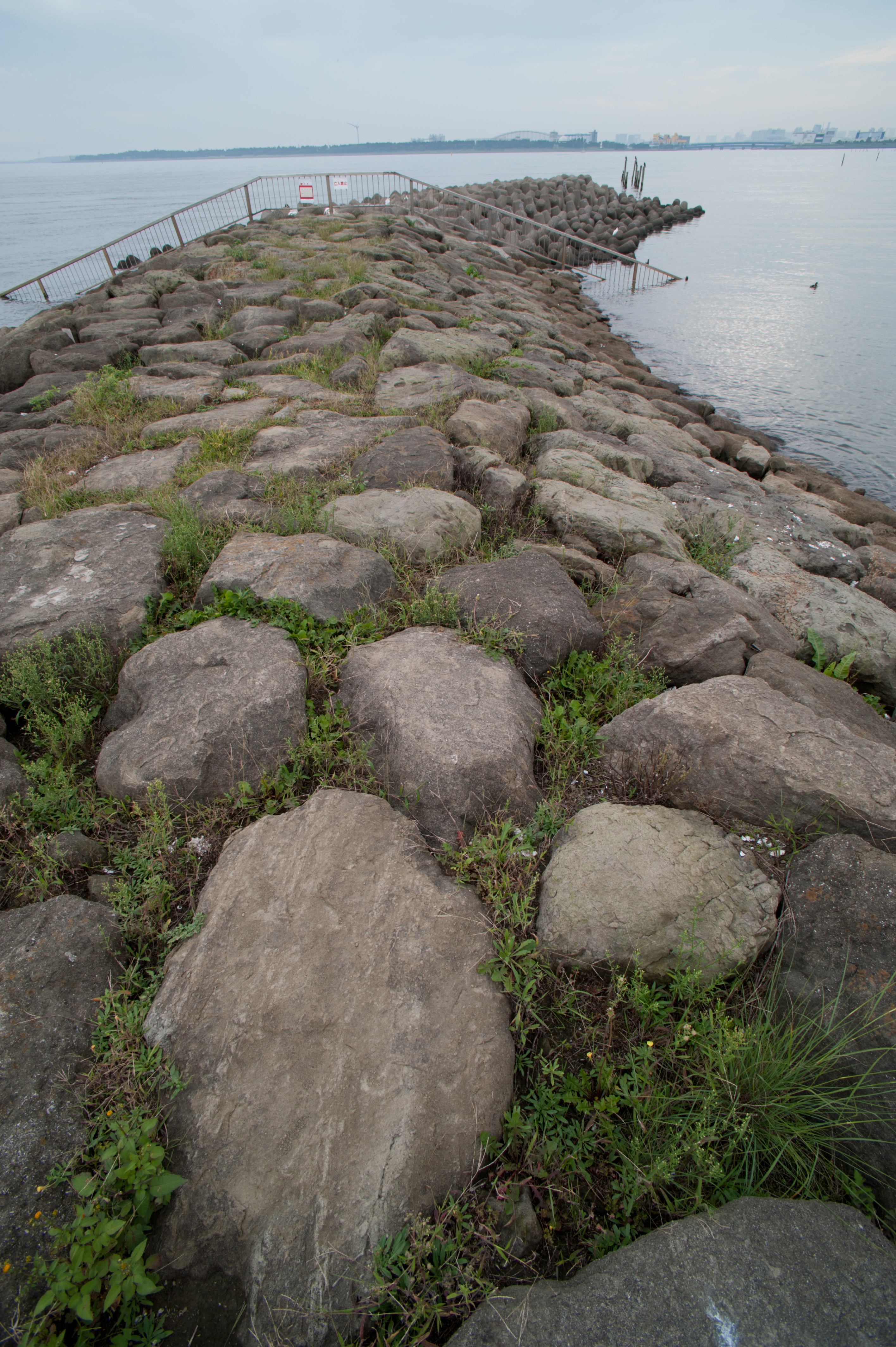 <b>RAW画像をPhotoshop CS5で現像だけしたもの。ちょっと右上がり</b>