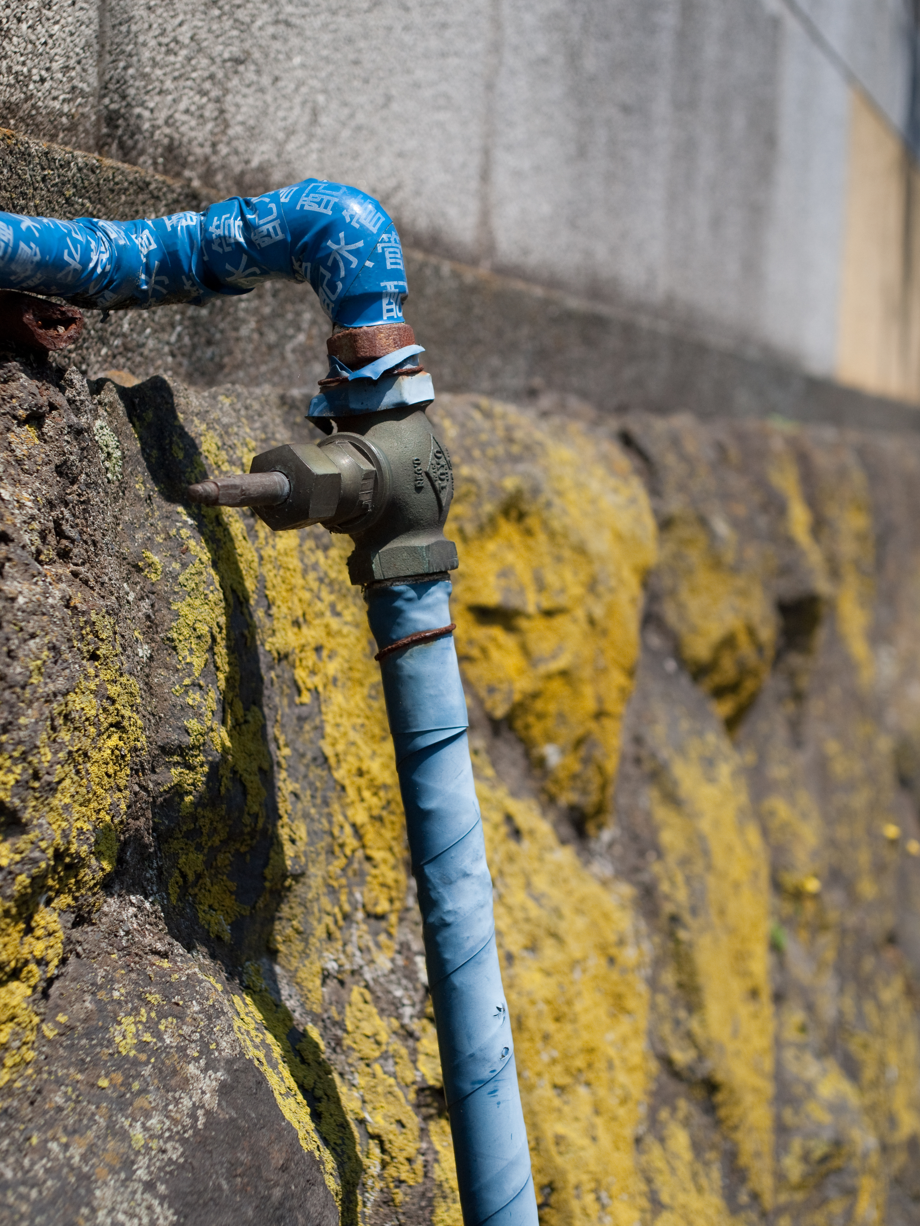 <b>E-P1 / Gビオゴン T* 28mm F2.8 / 4,032×3,024 / 1/1,600秒 / F4 / 0EV / ISO200 / WB:オート / 28mm</b>