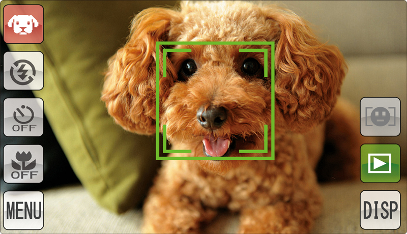 <b>ペット検出の画面。検出すると緑のフレームが現れる</b>
