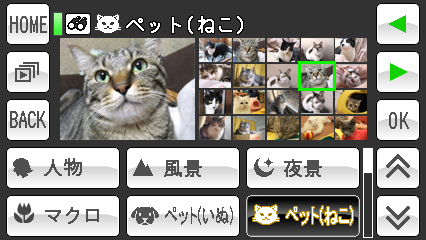 <b>新機能の「ピクチャーサーチ」機能で、ペットの写真のみの表示も可能</b>