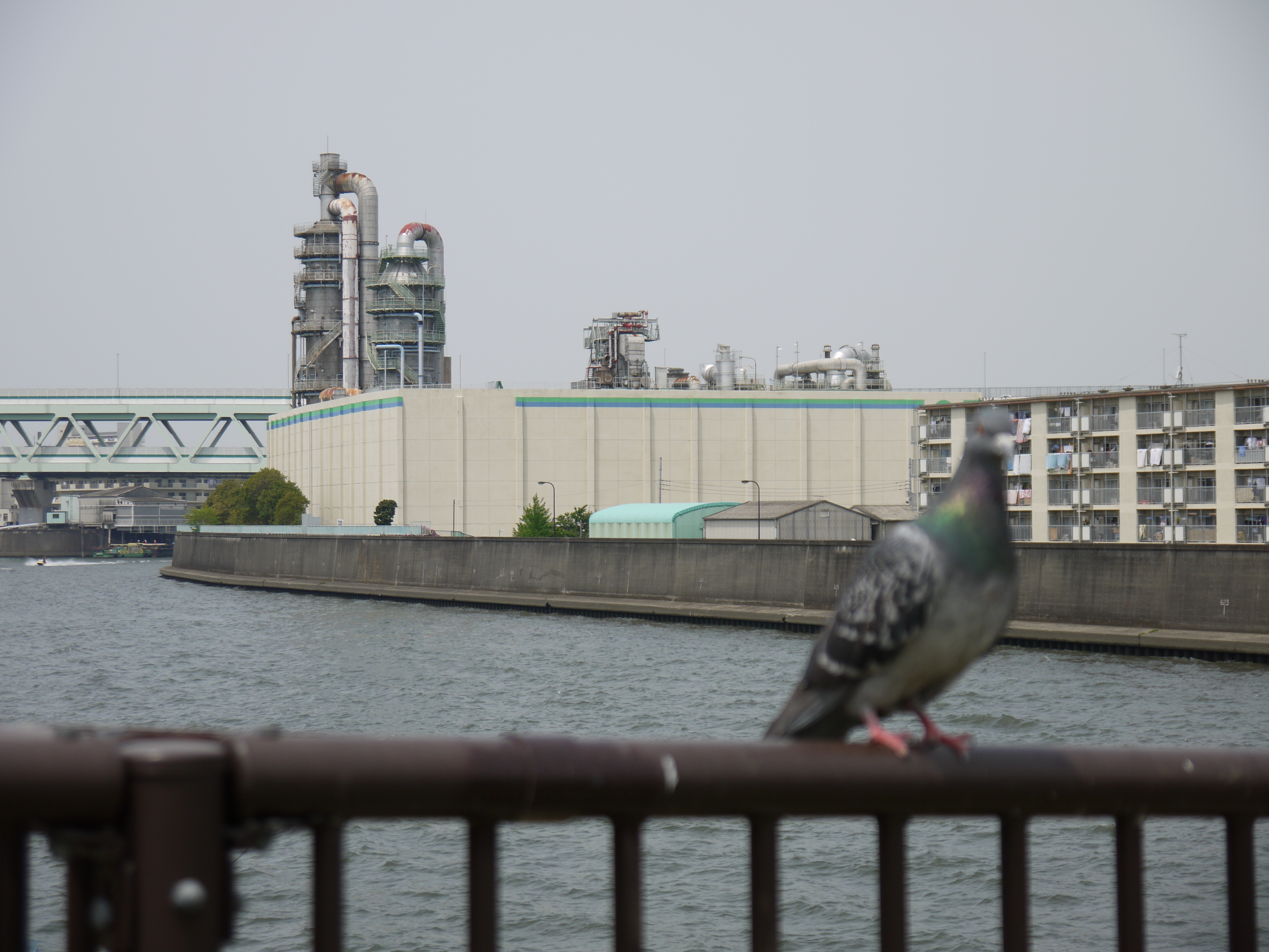 <b>DMC-G2 / LUMIX G VARIO 14-42mm F3.5-5.6 ASPH. MEGA O.I.S. / 約4.0MB / 4,000×3,000 / 1/800秒 / F5.6 / 0EV / ISO100 / WB:オート / 42mm</b>