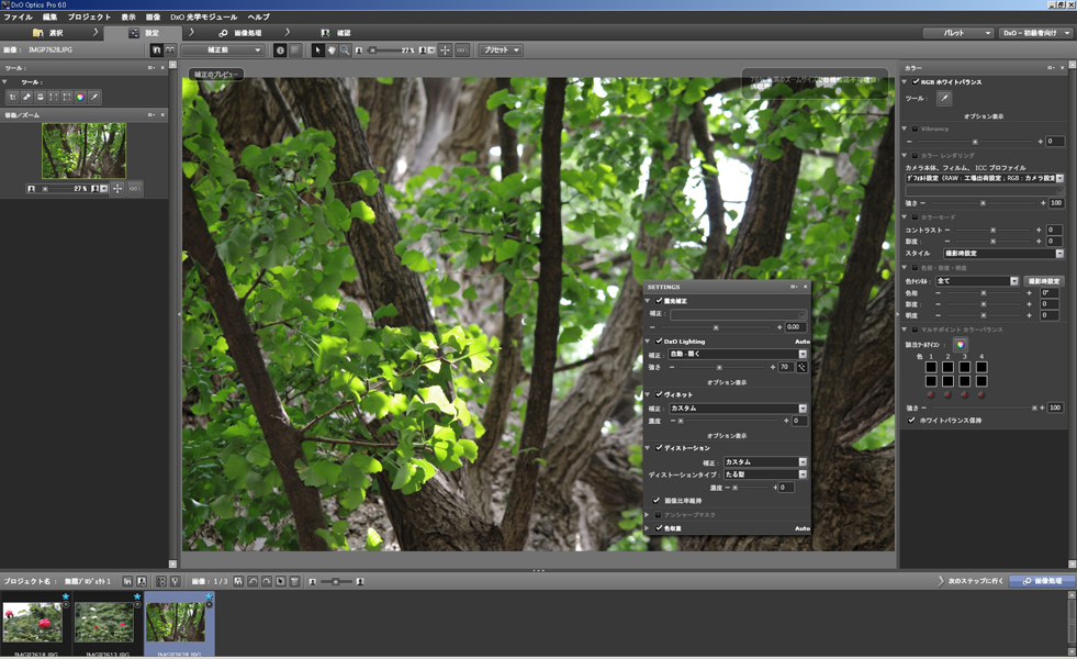 <b>DxO Optics Pro 6</b>