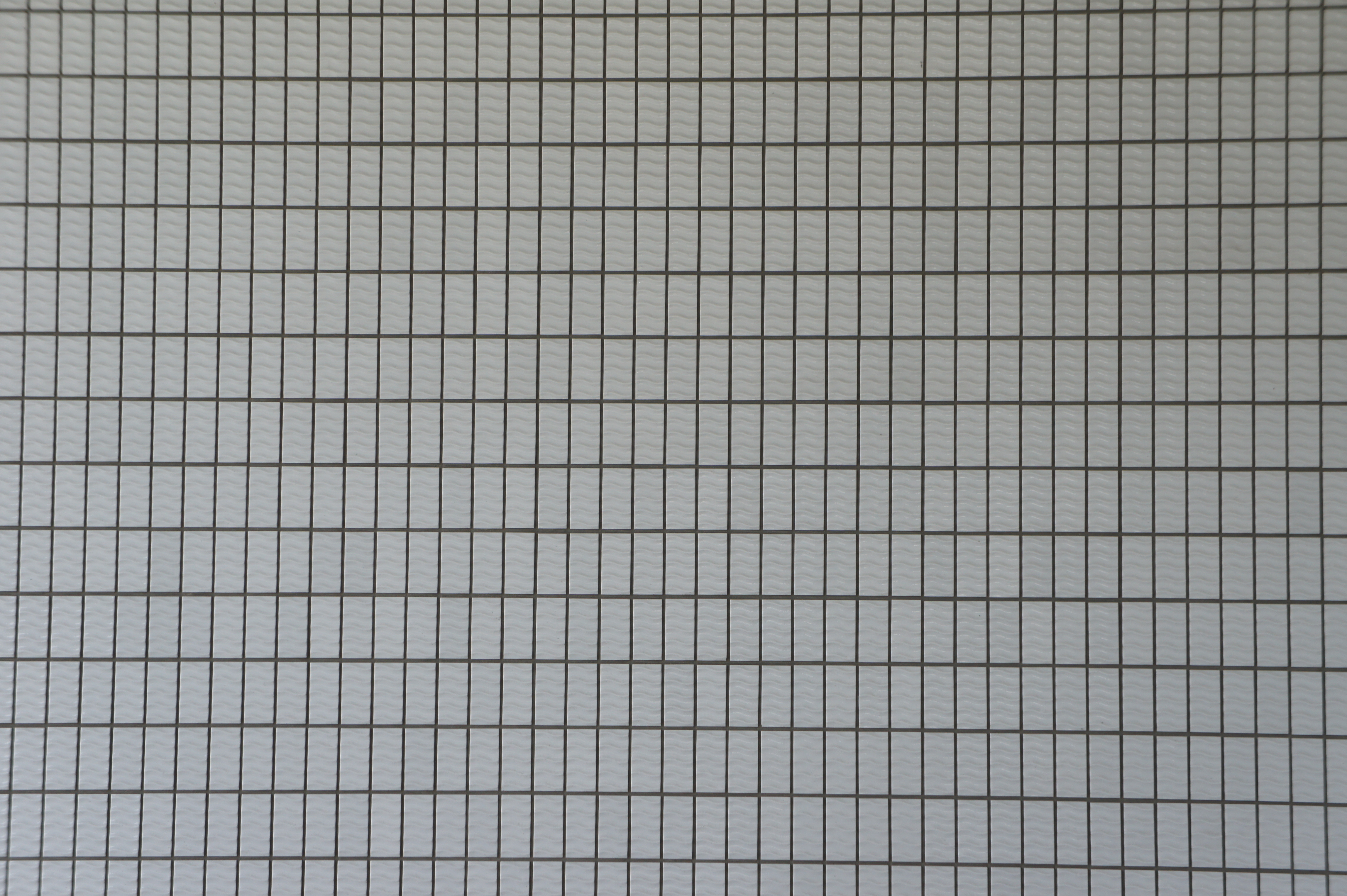 <b>E 18-55mm F3.5-5.6 OSS / 55mm</b>