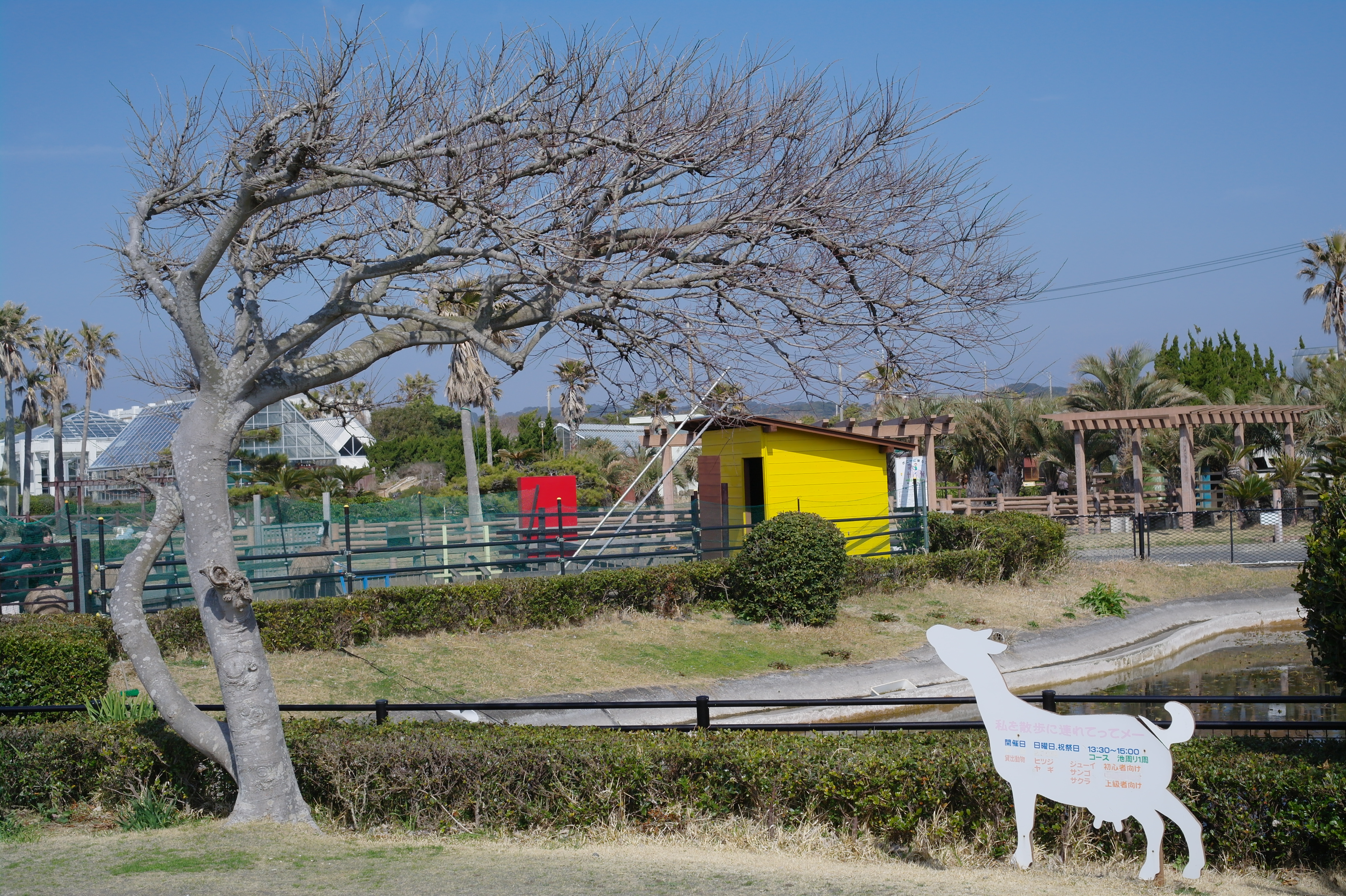 <b>NX10 / SAMSUNG LENS 30mm F2 / 約6.0MB / 4,592×3,056 / 1/1,000秒 / F5.6 / 0EV / ISO200 / WB:Auto / 30mm</b>