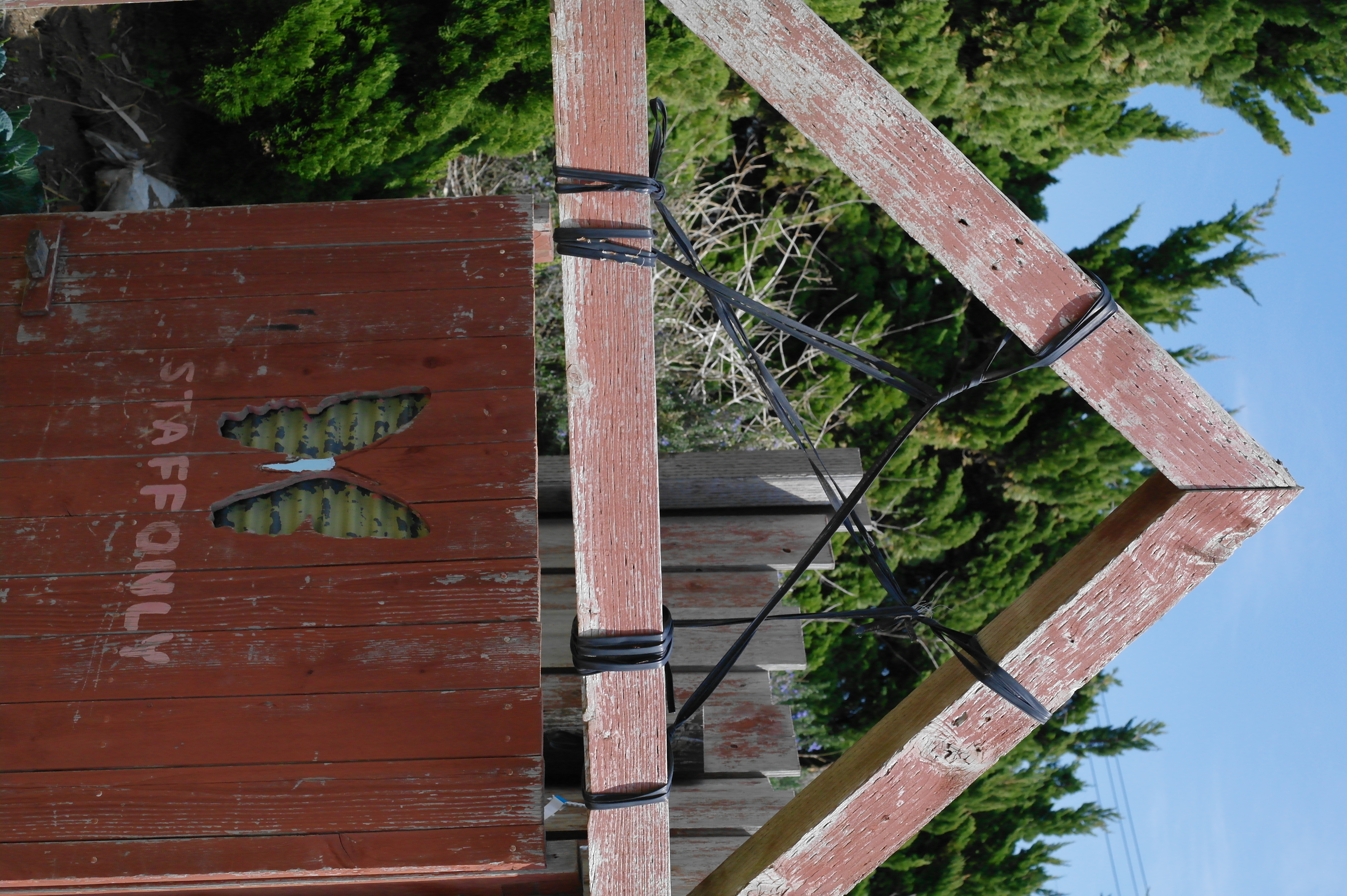 <b>NX10 / SAMSUNG LENS 30mm F2 / 約5.7MB / 3,056×4,592 / 1/1,600秒 / F5.6 / -0.3EV / ISO800 / WB:Auto / 30mm</b>