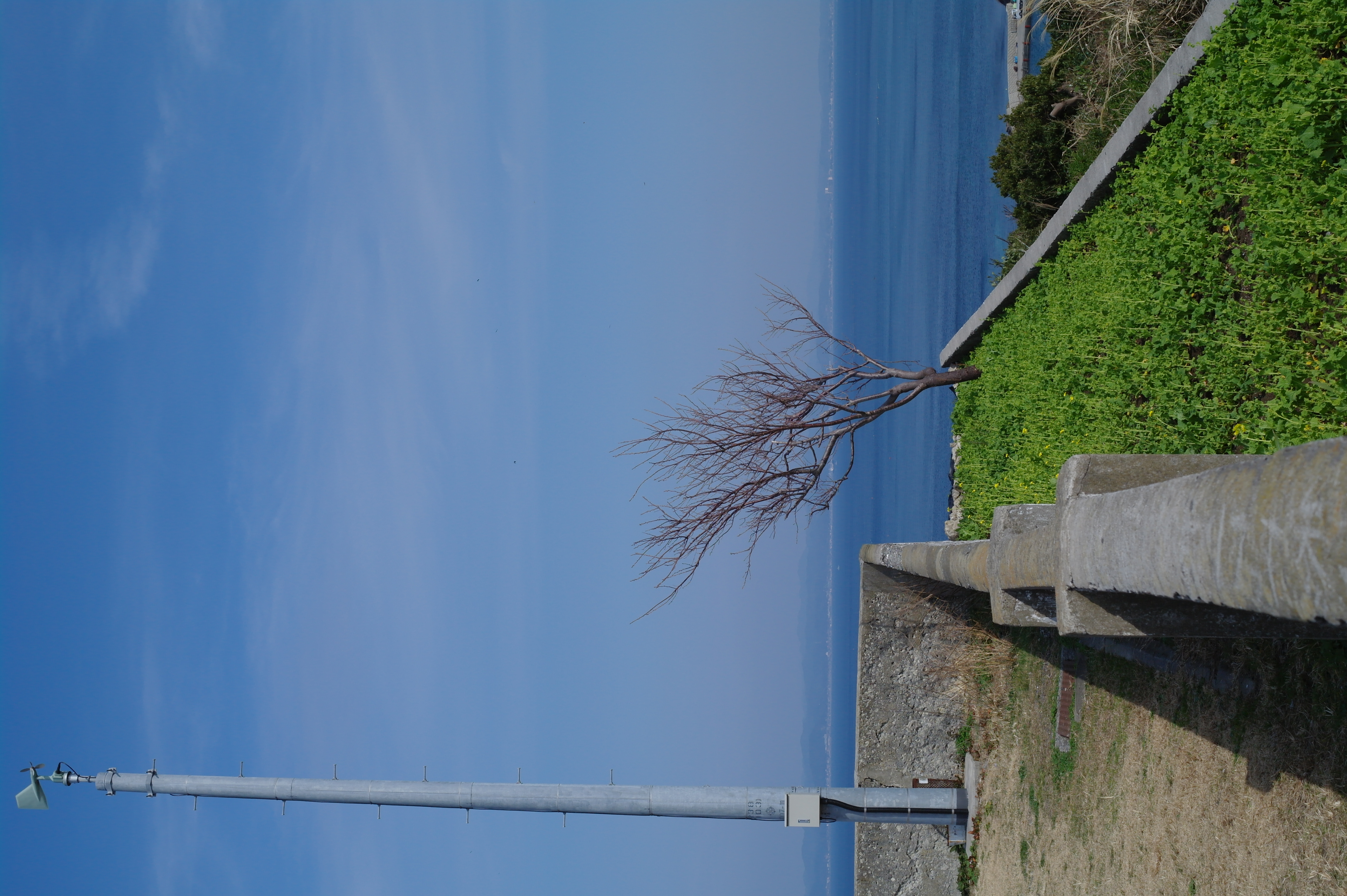 <b>NX10 / SAMSUNG LENS 30mm F2 / 約4.8MB / 3,056×4,592 / 1/640秒 / F8 / -0.3EV / ISO200 / WB:Auto / 30mm</b>